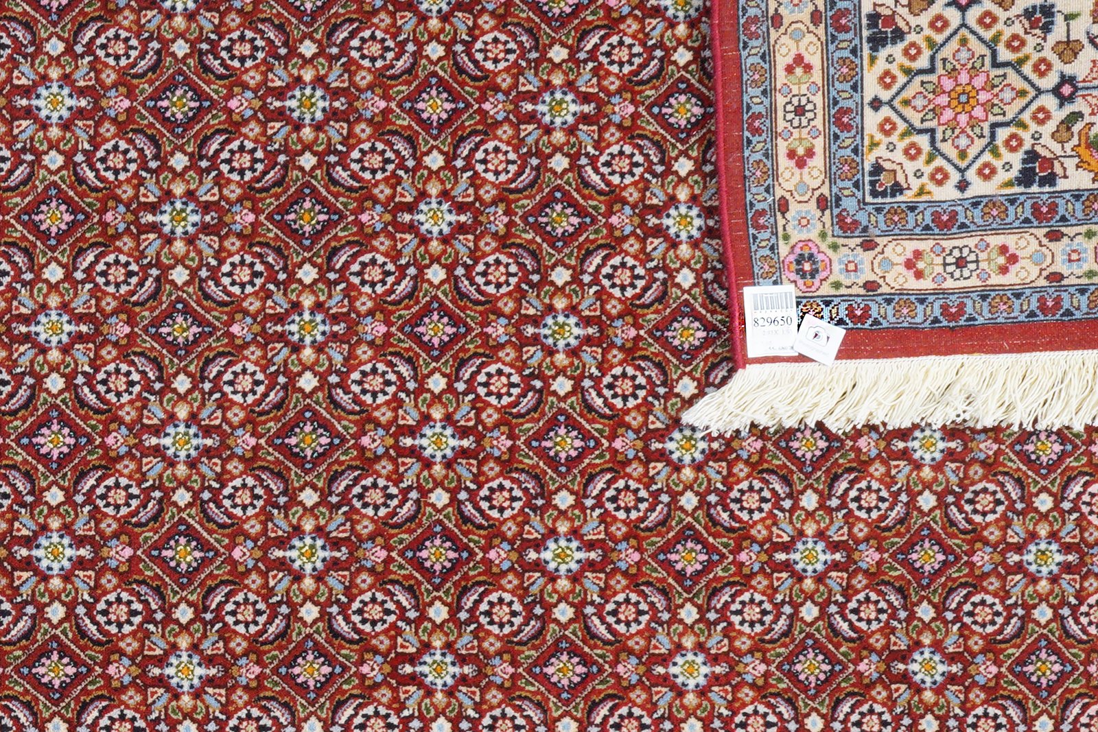 Moud Mahi — Hand-knotted, 193x293 cm, Red, 100% Virgin Wool | View 6