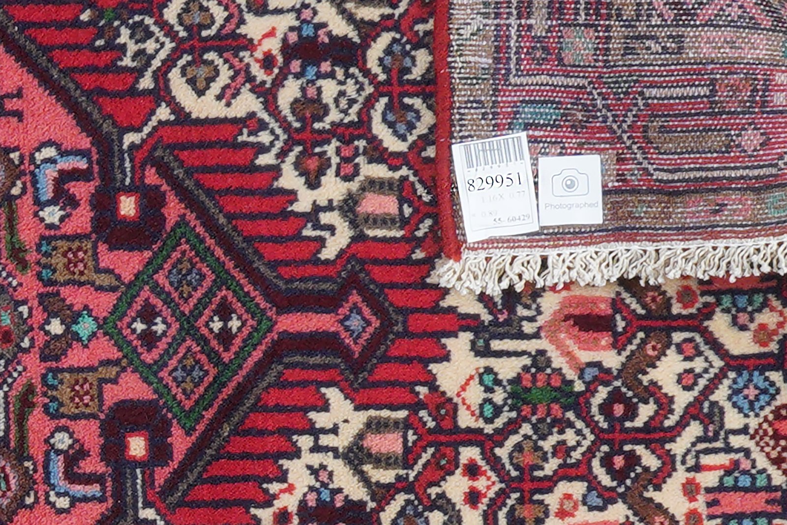 Assadabad — Hand-knotted, 77x116 cm, Multicolor, 100% Virgin Wool | View 6