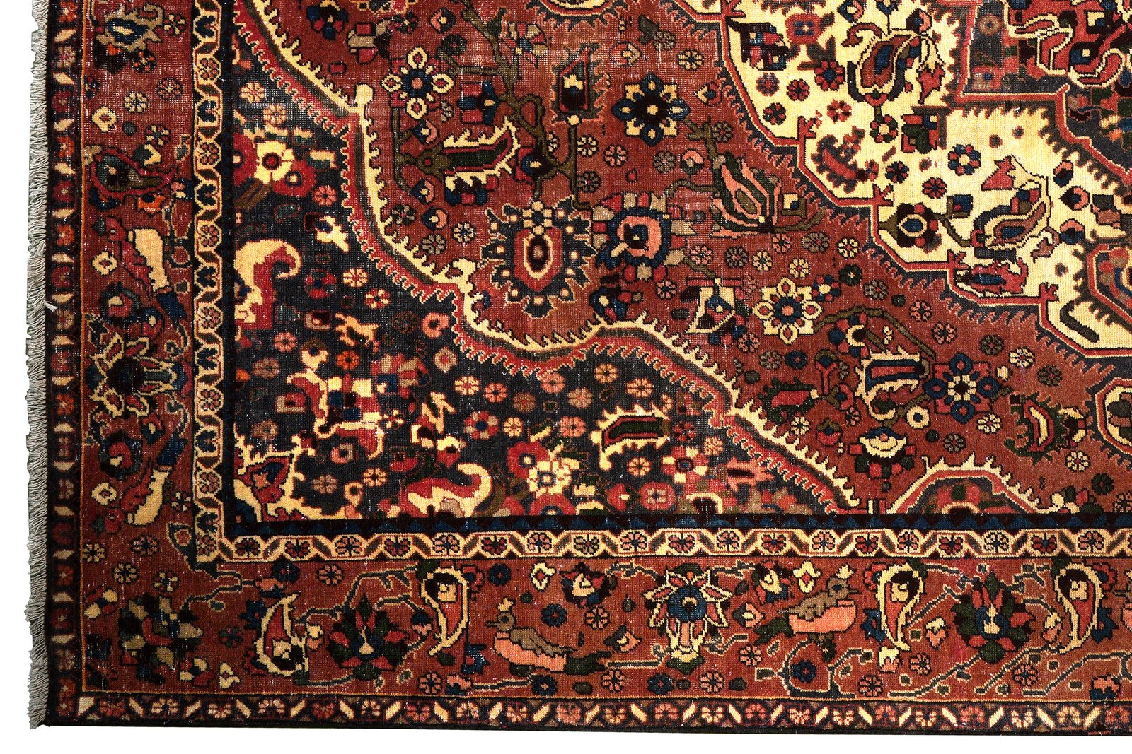 Heritage — Hand-knotted, 209x300 cm, Red, 100% Virgin Wool | View 3