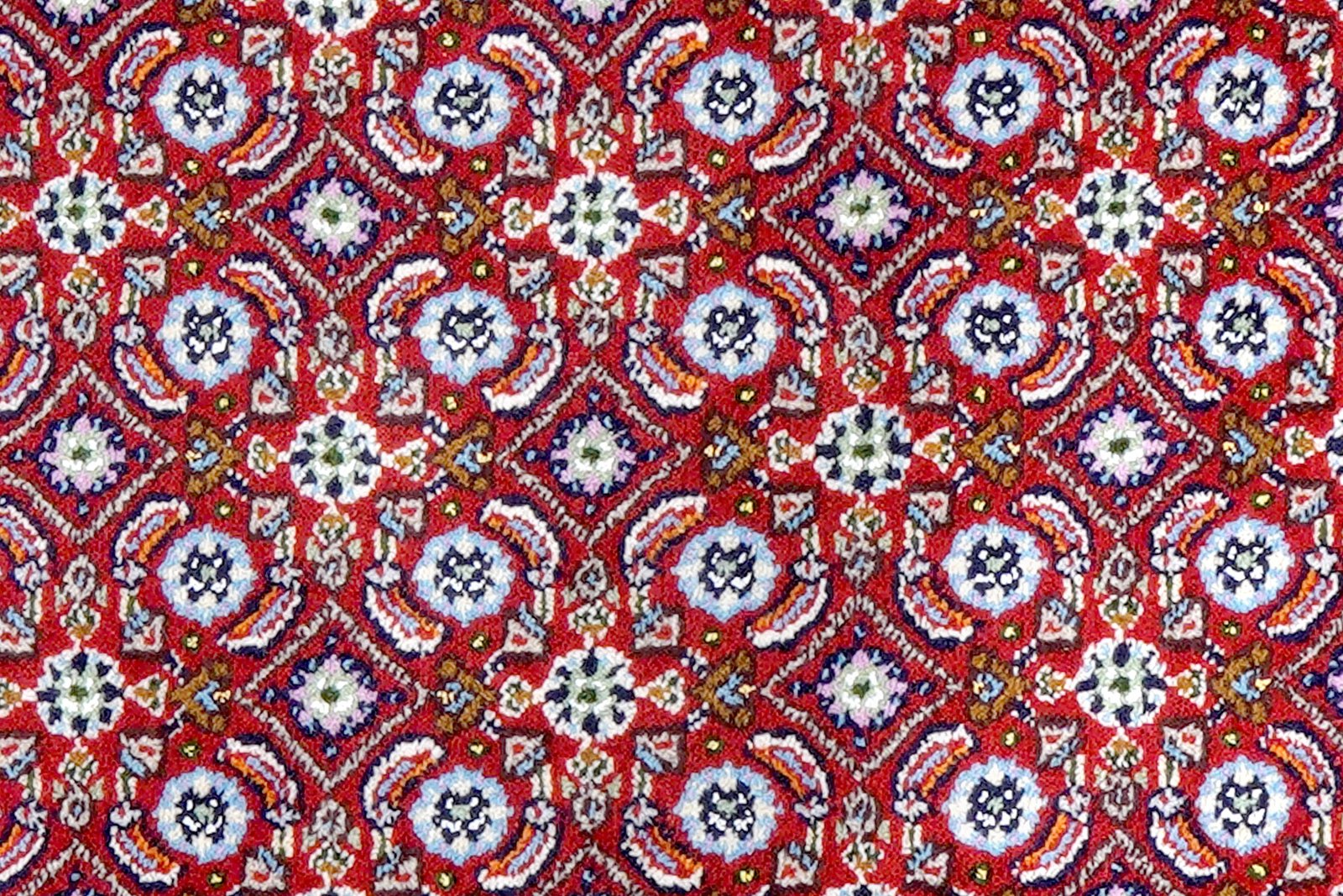 Moud Mahi — Hand-knotted, 76x124 cm, Multicolor, 100% Virgin Wool | View 6