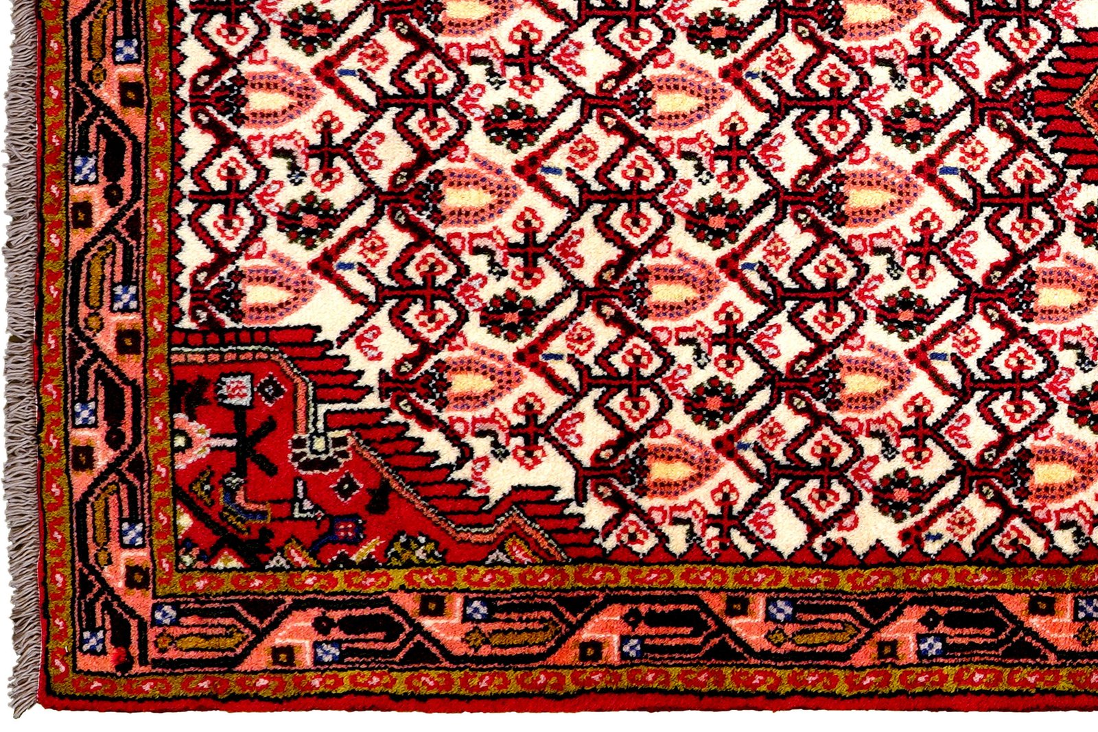 Assadabad — Hand-knotted, 81x189 cm, Beige, 100% Virgin Wool | View 3