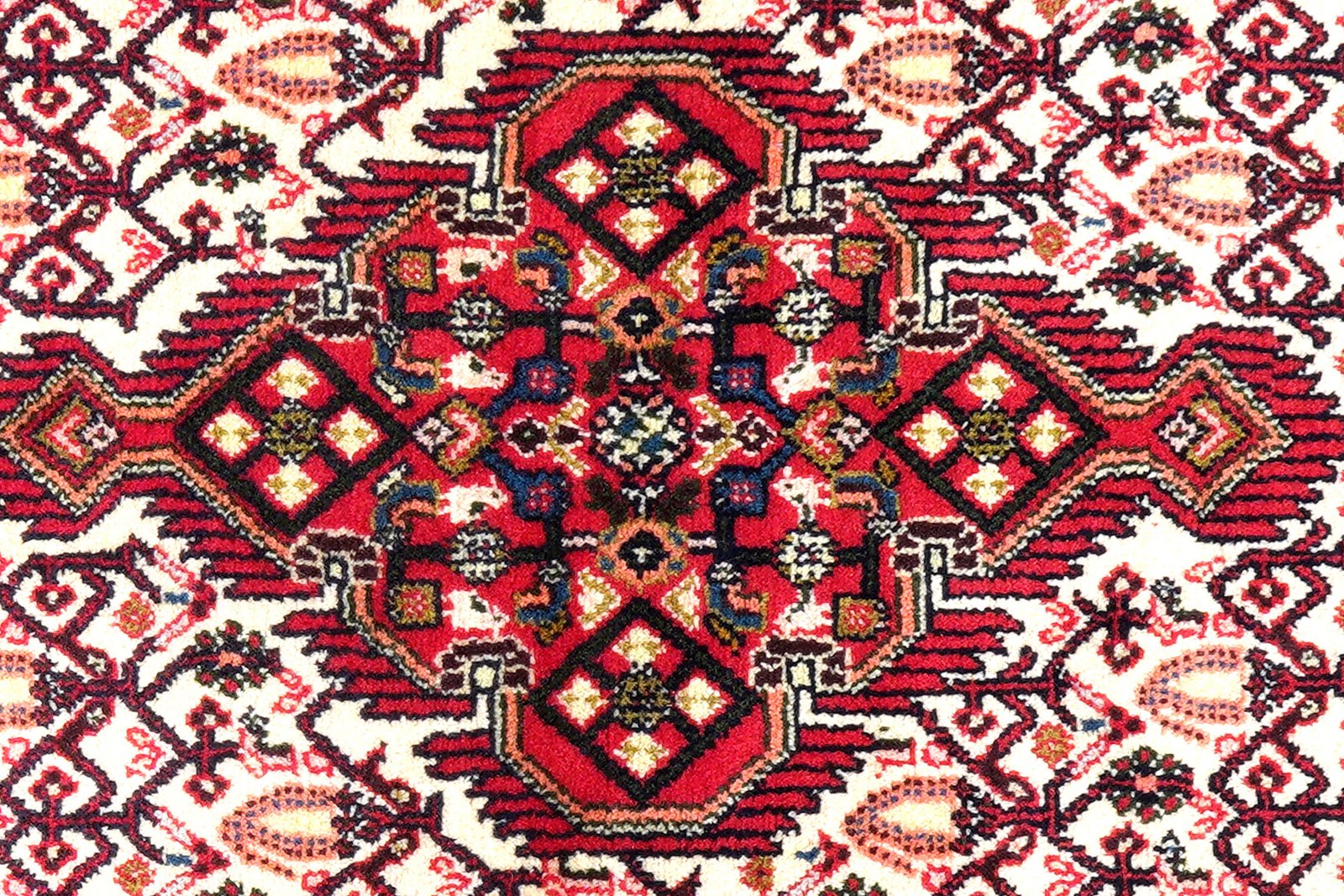 Assadabad — Hand-knotted, 78x193 cm, Beige, 100% Virgin Wool | View 6