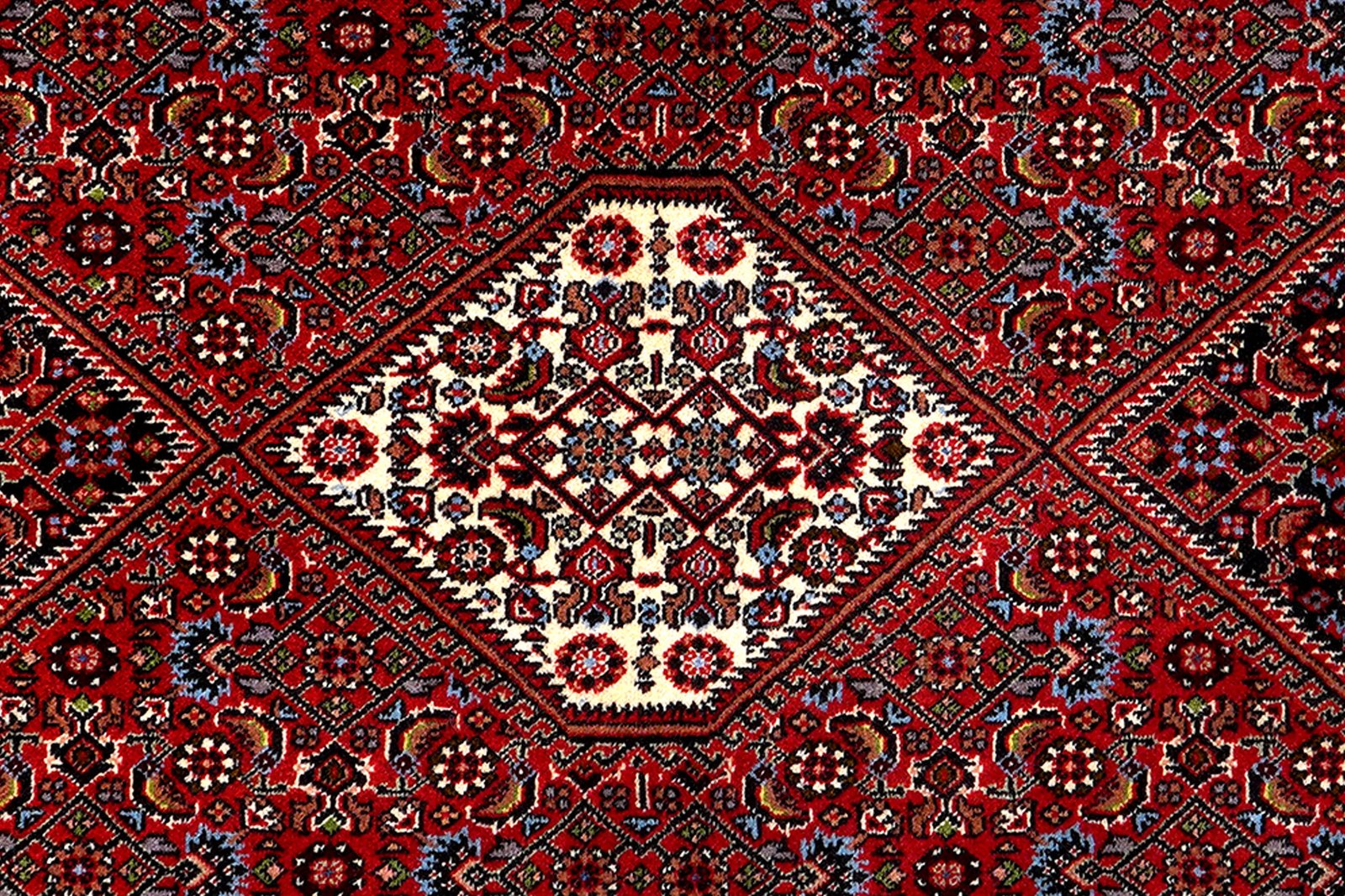 Bidjar Zandjan — Hand-knotted, 91x304 cm, Red, 100% Virgin Wool | View 6