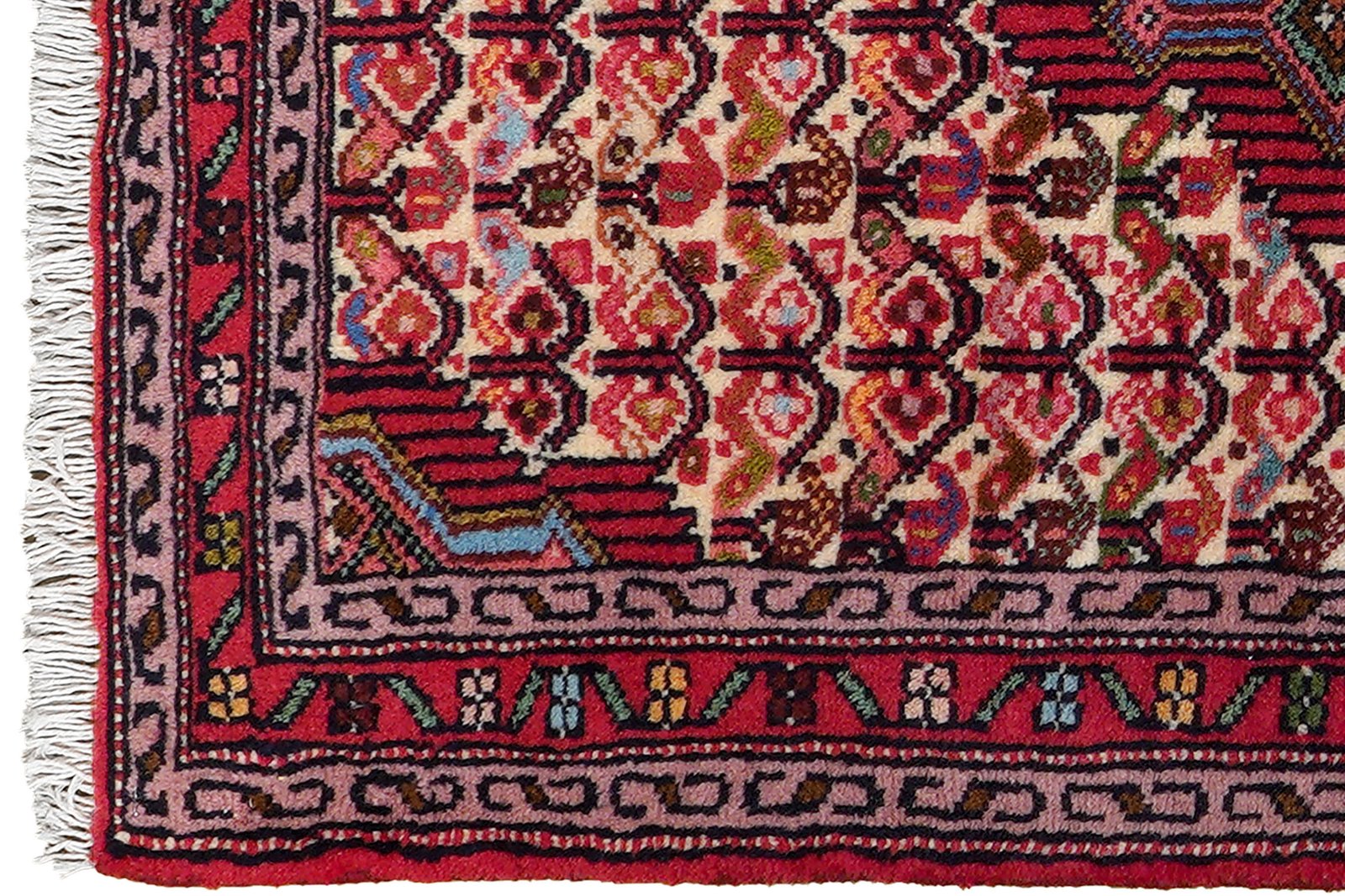 Assadabad — Hand-knotted, 65x95 cm, Beige, 100% Virgin Wool | View 3