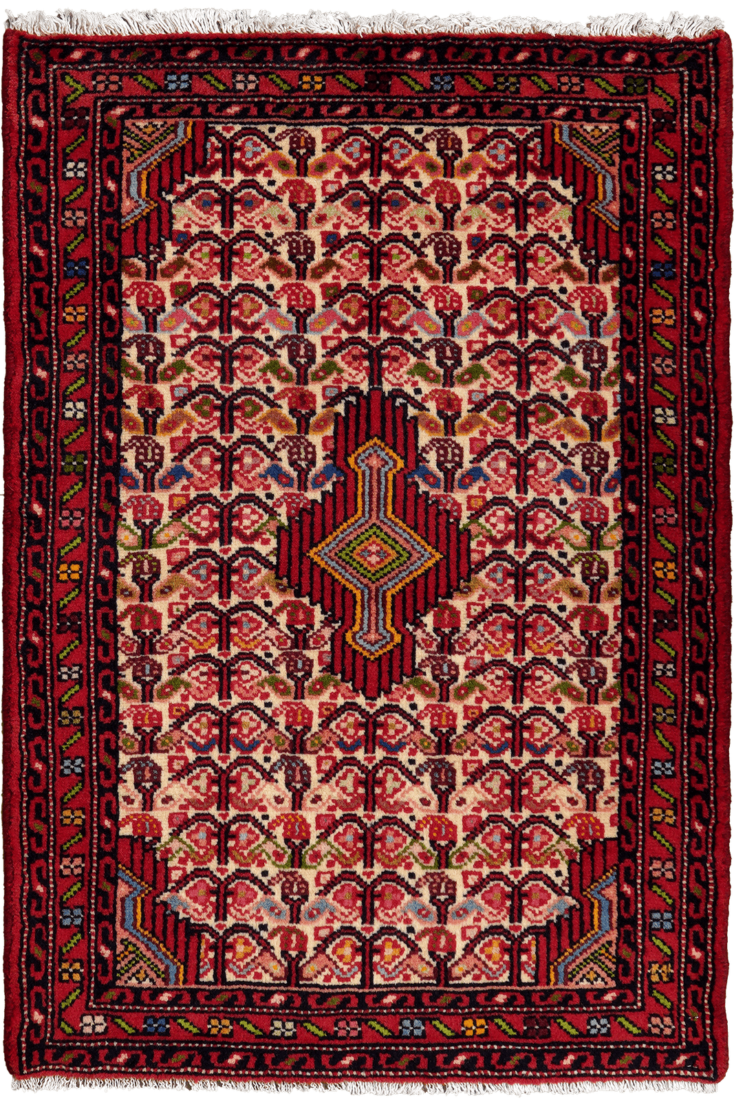 Assadabad — Hand-knotted, 70x102 cm, Multicolor, 100% Virgin Wool | Main view