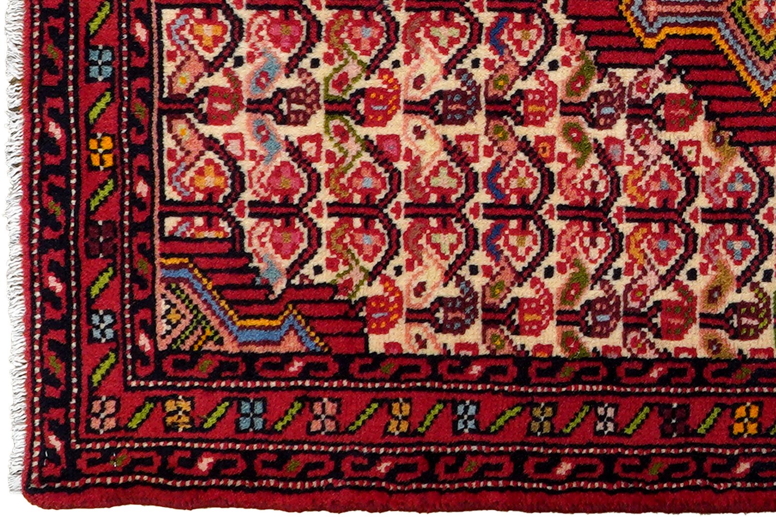 Assadabad — Hand-knotted, 70x102 cm, Multicolor, 100% Virgin Wool | View 3