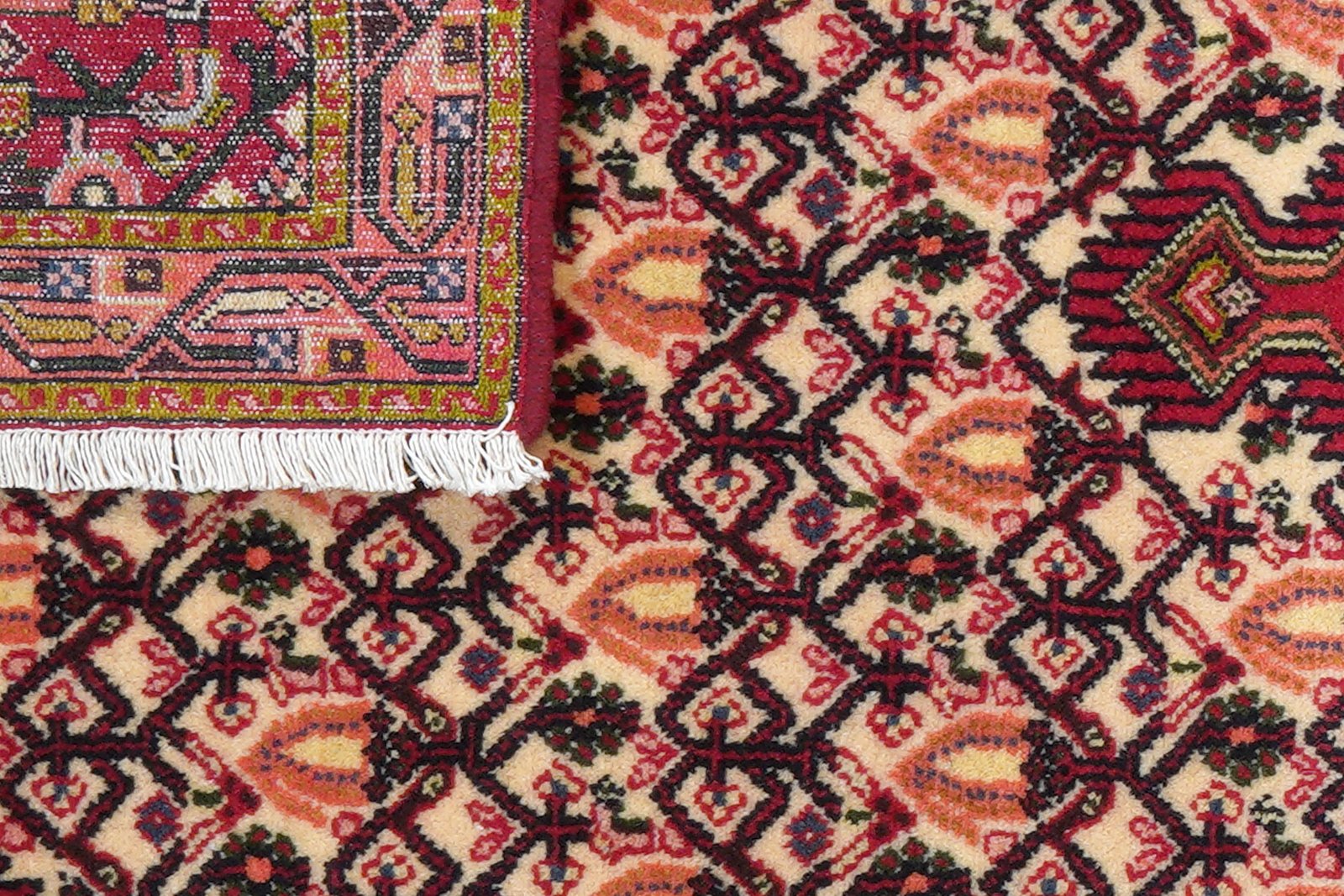Assadabad — Hand-knotted, 81x195 cm, Beige, 100% Virgin Wool | View 7