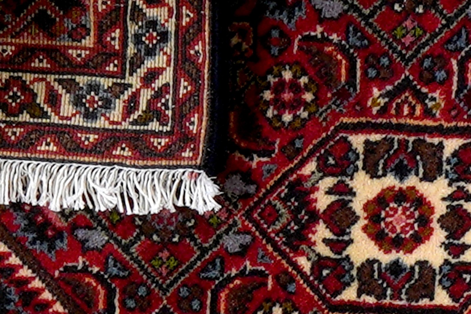 Bidjar Zandjan — Hand-knotted, 47x61 cm, Blue, 100% Virgin Wool | View 7