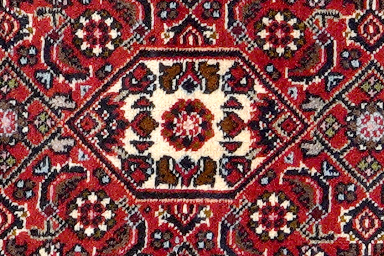 Bidjar Zandjan — Hand-knotted, 46x63 cm, Blue, 100% Virgin Wool | View 6