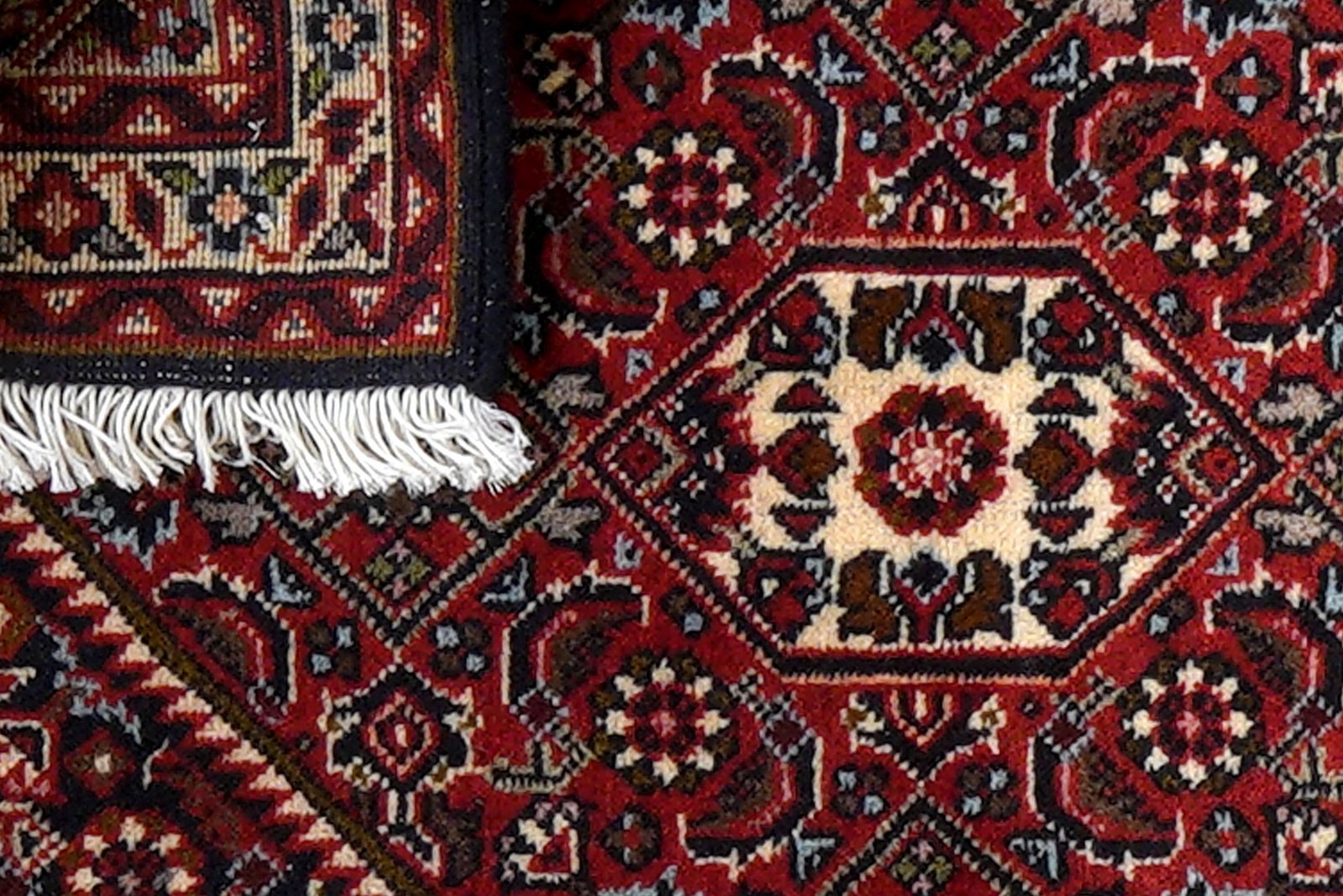 Bidjar Zandjan — Hand-knotted, 46x63 cm, Blue, 100% Virgin Wool | View 7