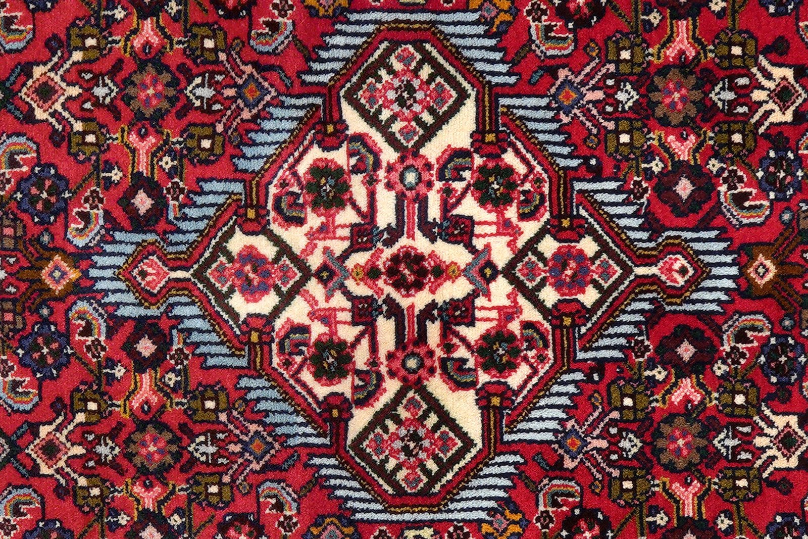 Assadabad — Hand-knotted, 77x212 cm, Red, 100% Virgin Wool | View 6