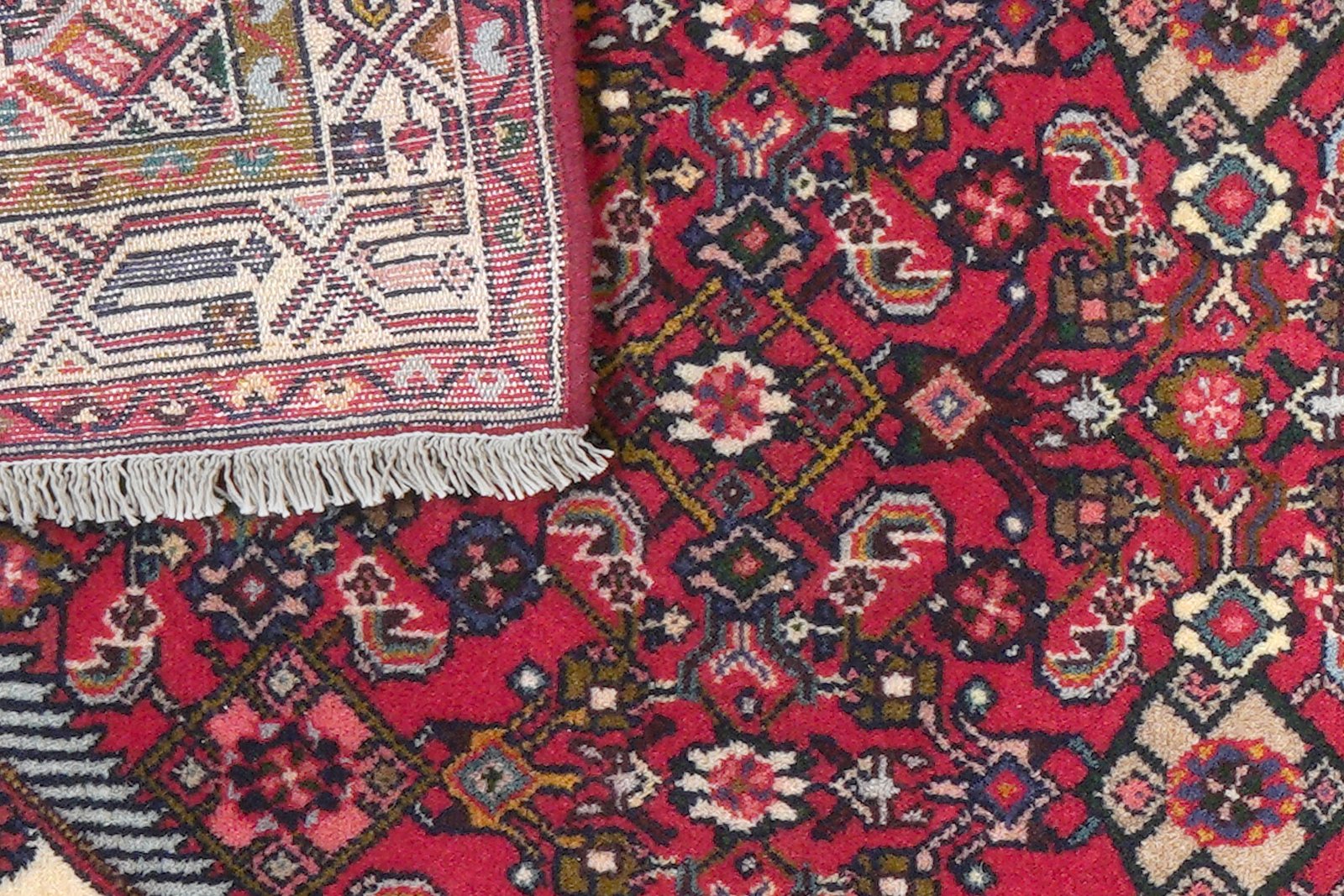 Assadabad — Hand-knotted, 77x212 cm, Red, 100% Virgin Wool | View 7