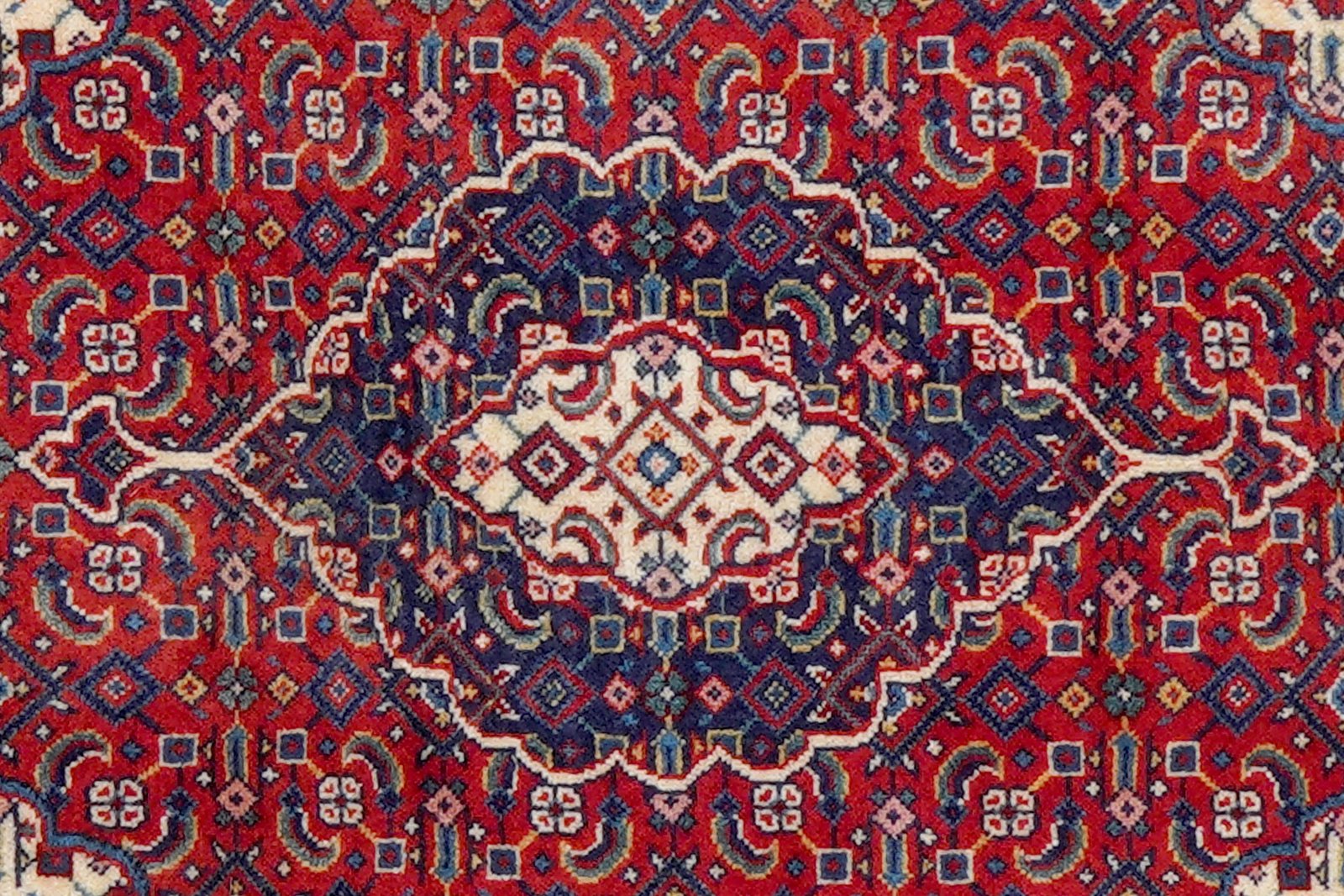 Sarough — Hand-knotted, 66x78 cm, Red, 100% Virgin Wool | View 6