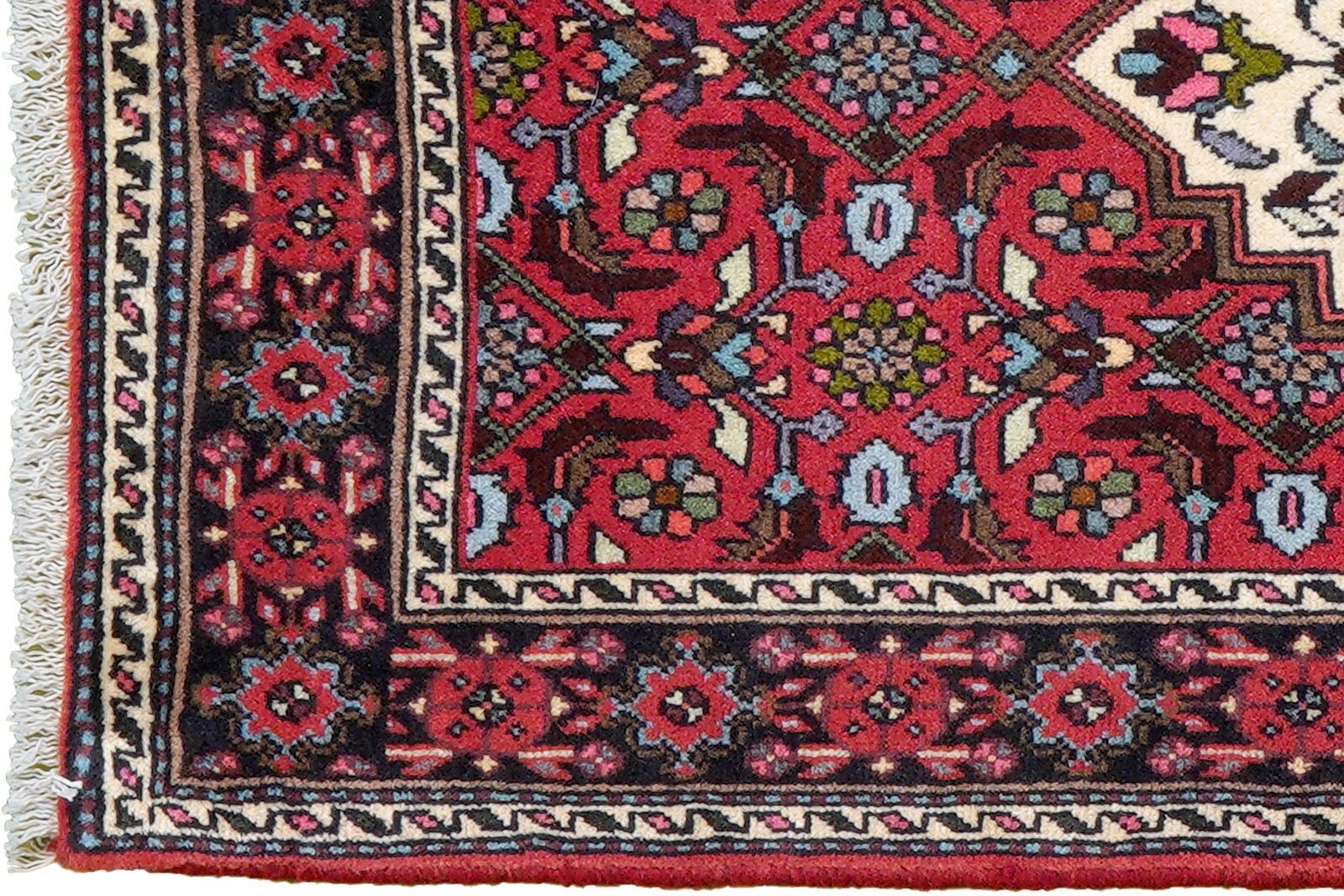 Goltuk — Hand-knotted, 61x102 cm, Red, 100% Virgin Wool | View 3
