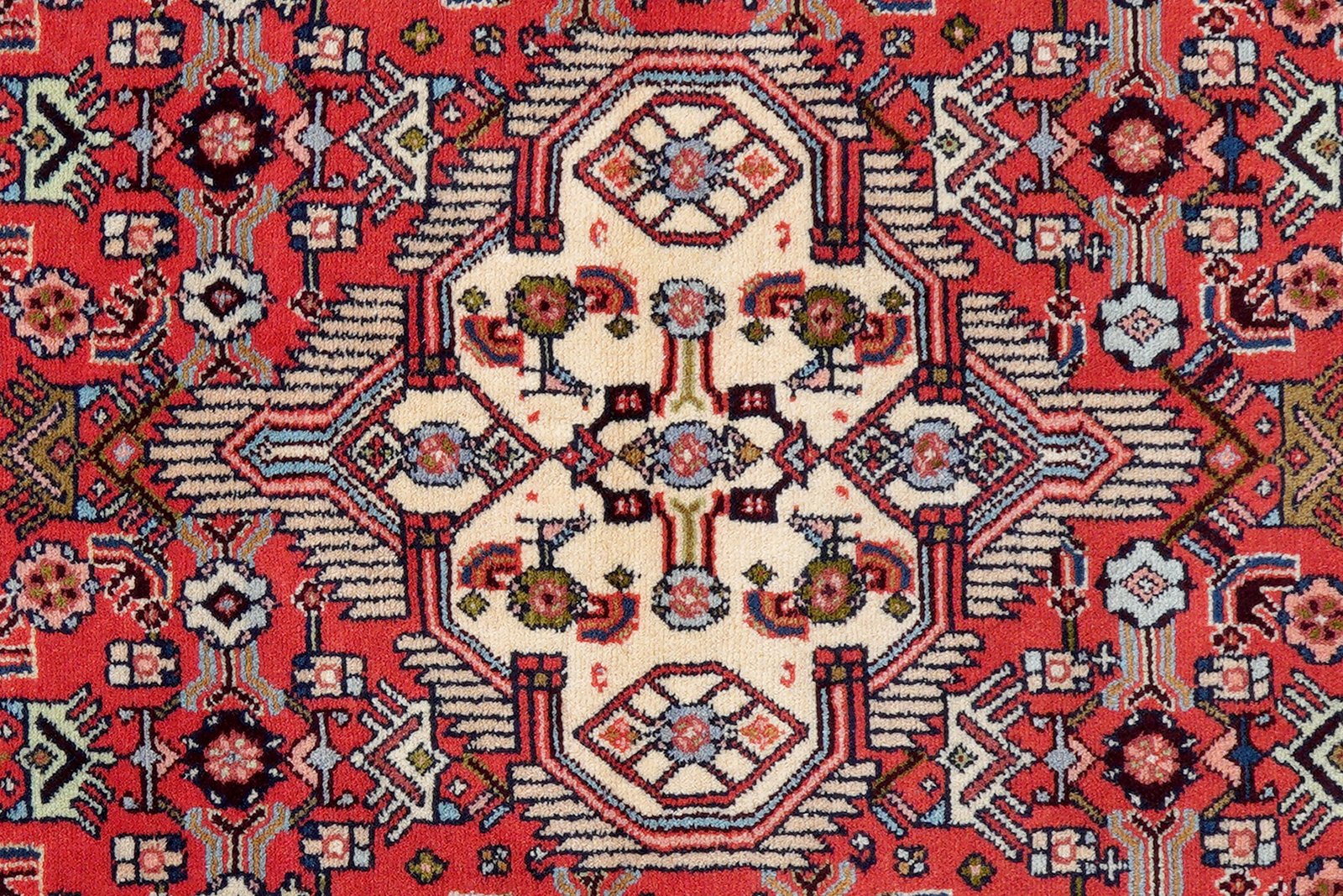 Assadabad — Hand-knotted, 89x290 cm, Red, 100% Virgin Wool | View 6