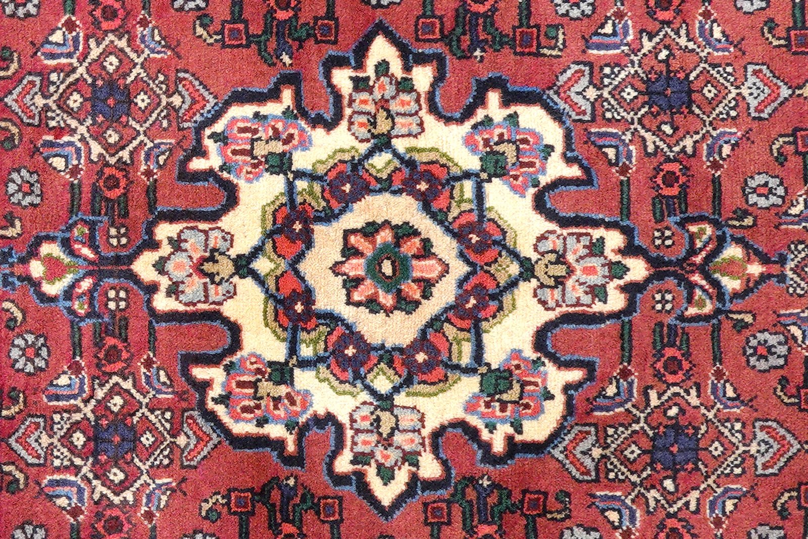 Bidjar Zandjan — Hand-knotted, 104x154 cm, Red, 100% Virgin Wool | View 6