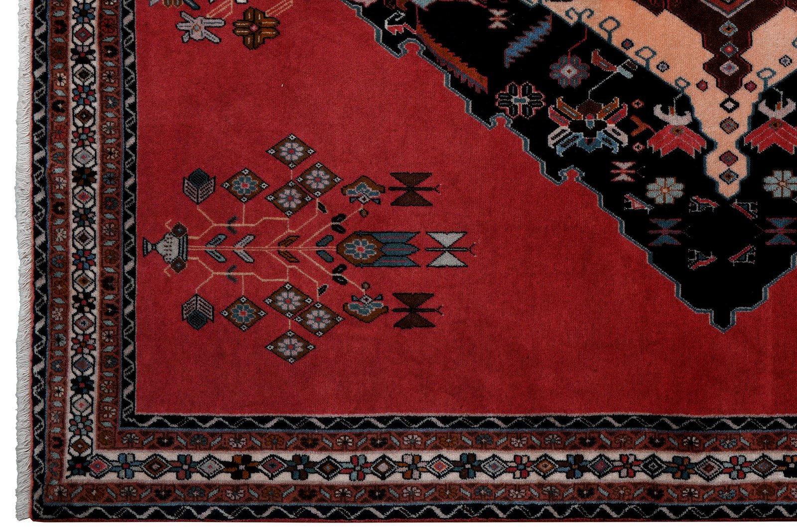 Afshar — Hand-knotted, 160x210 cm, Pink, 100% Virgin Wool | View 3