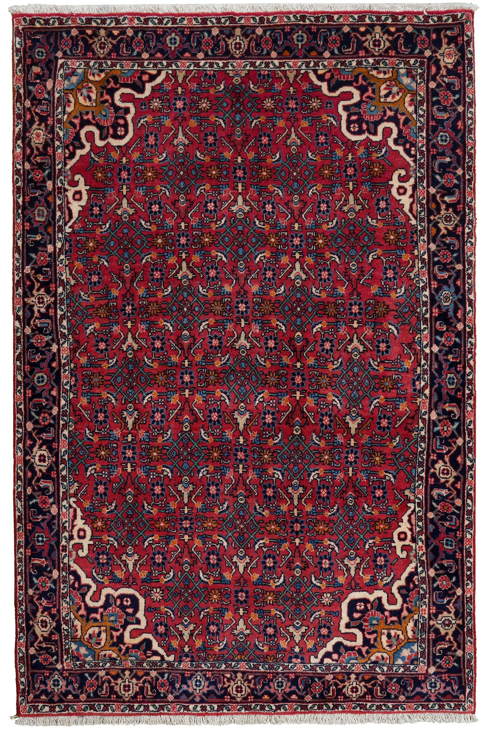 Bidjar Zandjan — Handgefertigt, 160x103 cm, Blau, 100% Virgin Wool | Main view