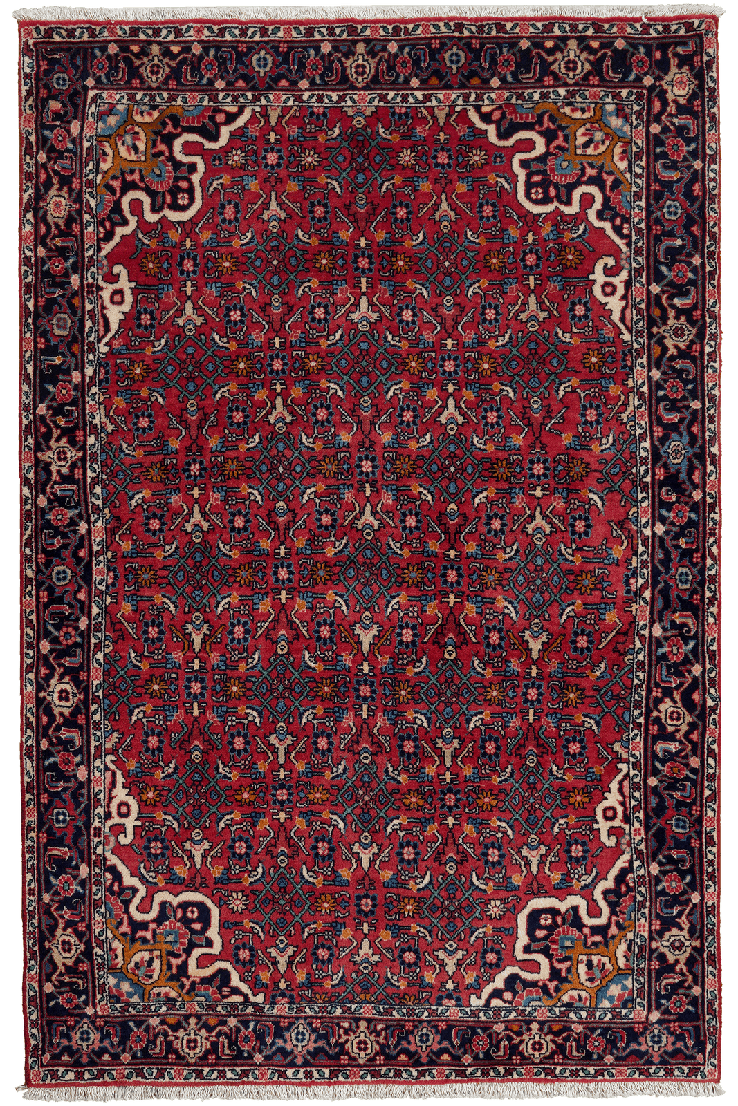 Bidjar Zandjan — Hand-knotted, 103x160 cm, Red, 100% Virgin Wool | Main view