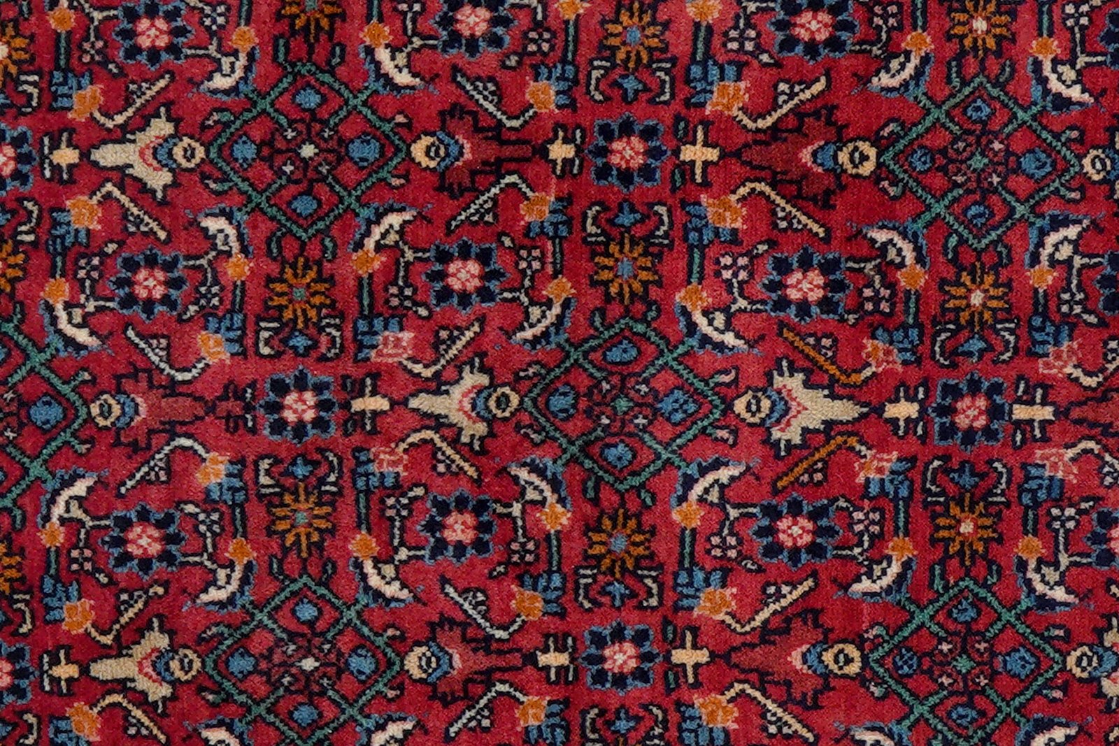 Bidjar Zandjan — Hand-knotted, 103x160 cm, Red, 100% Virgin Wool | View 6