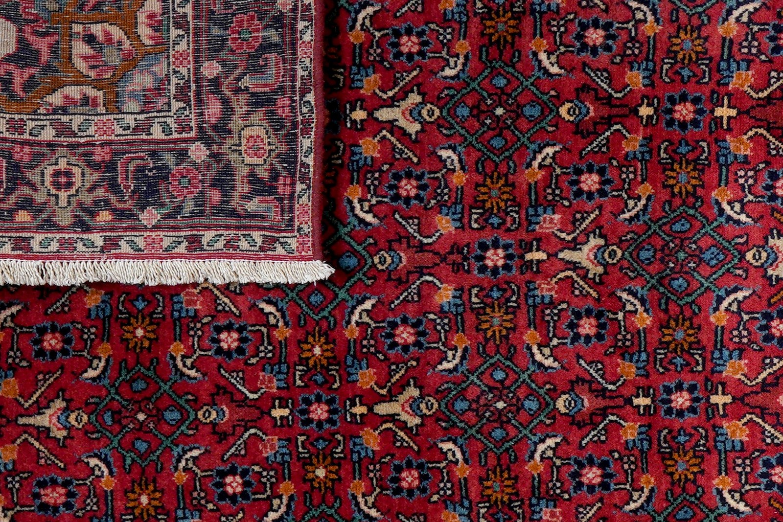 Bidjar Zandjan — Hand-knotted, 103x160 cm, Red, 100% Virgin Wool | View 7