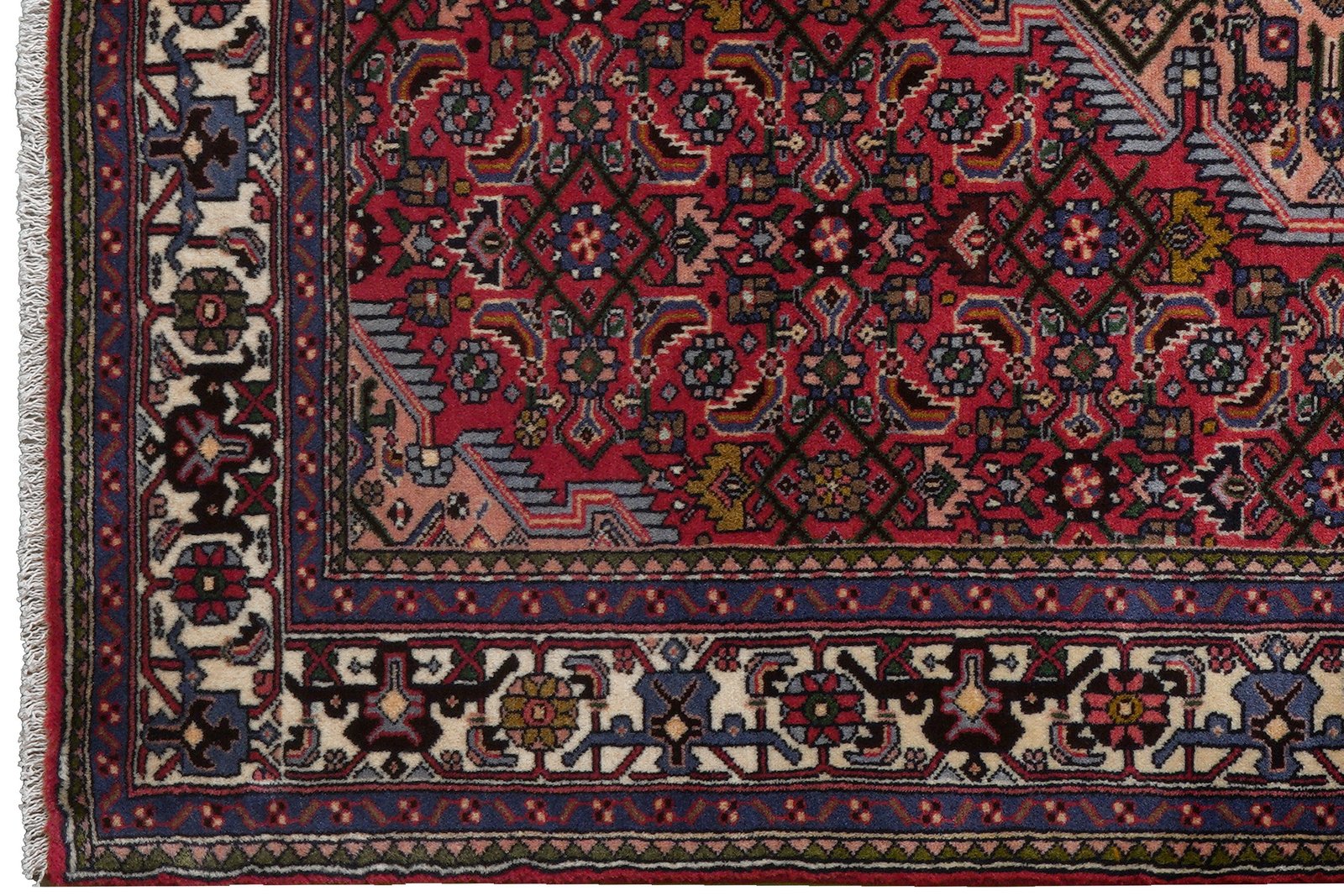 Assadabad — Hand-knotted, 126x187 cm, Red, 100% Virgin Wool | View 3