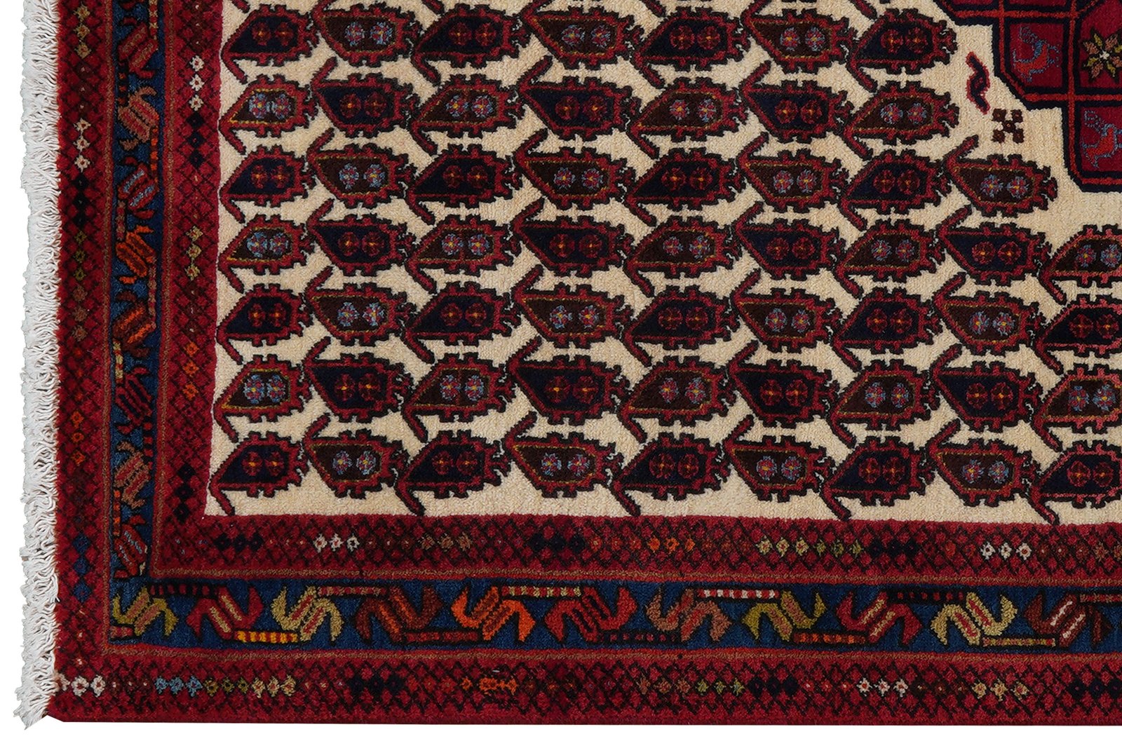 Afshar — Hand-knotted, 104x163 cm, Beige, 100% Virgin Wool | View 3