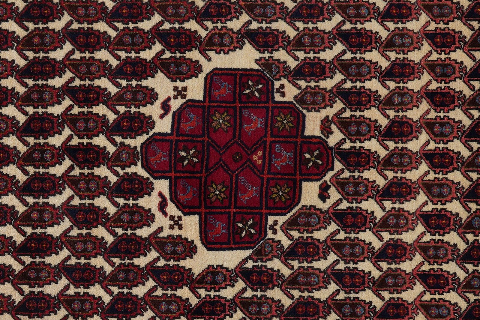 Afshar — Hand-knotted, 104x163 cm, Beige, 100% Virgin Wool | View 6