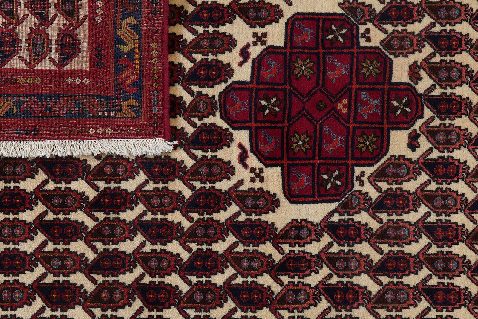 Afshar — Hand-knotted, 104x163 cm, Beige, 100% Virgin Wool | View 7
