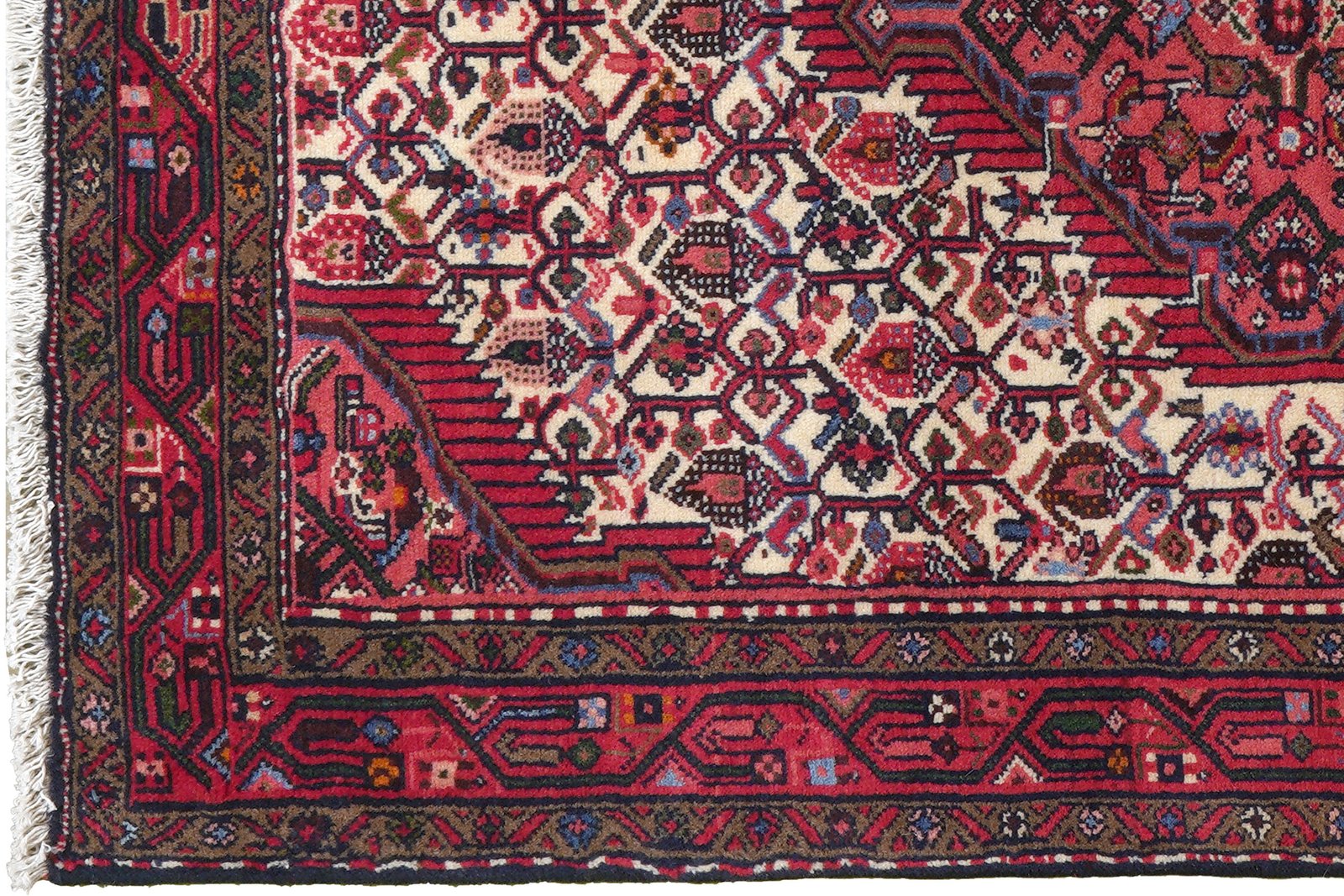 Assadabad — Hand-knotted, 102x152 cm, Beige, 100% Virgin Wool | View 3