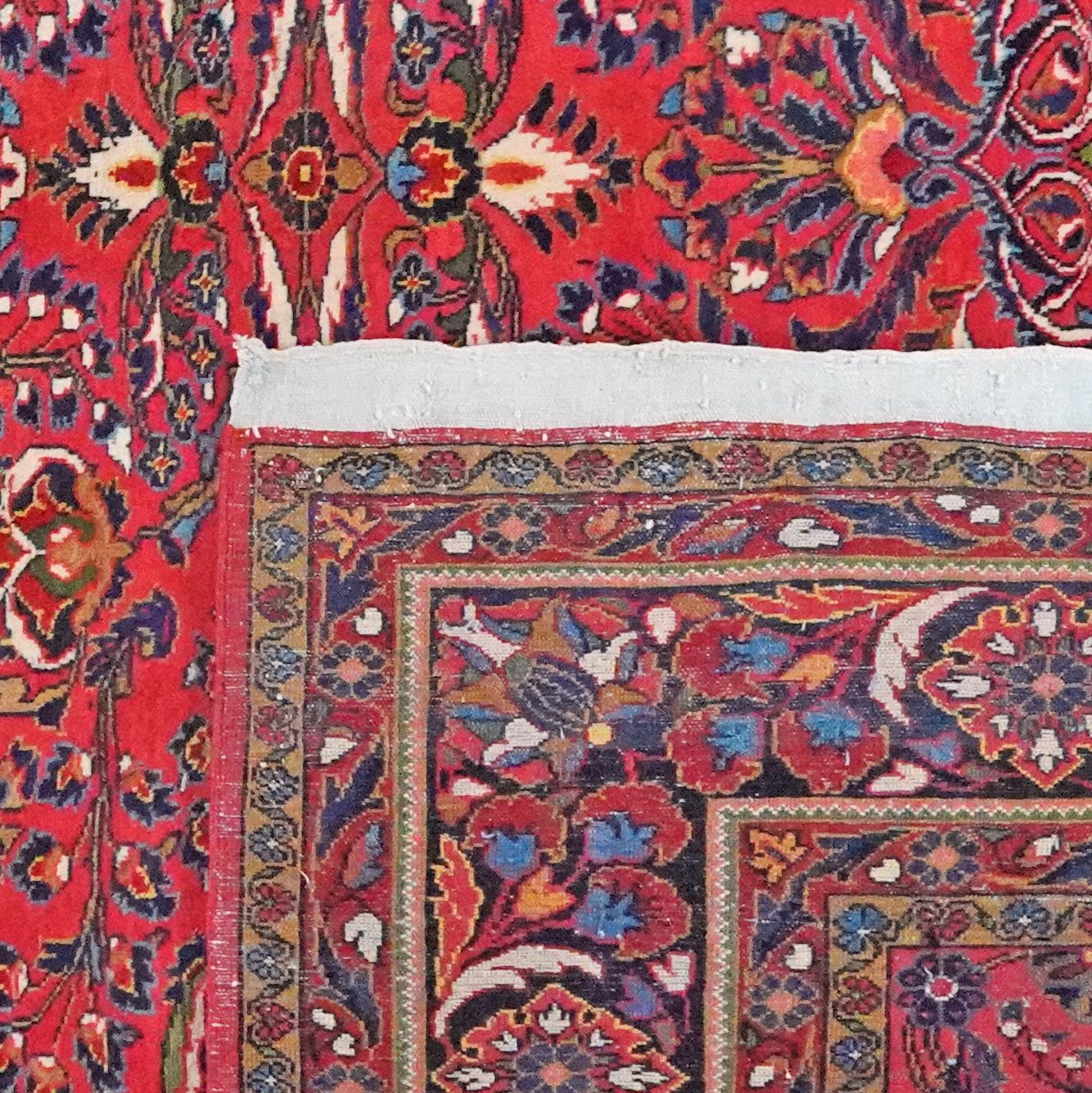 Lilian — Hand-knotted, 281x375 cm, Red, 100% Virgin Wool | View 6