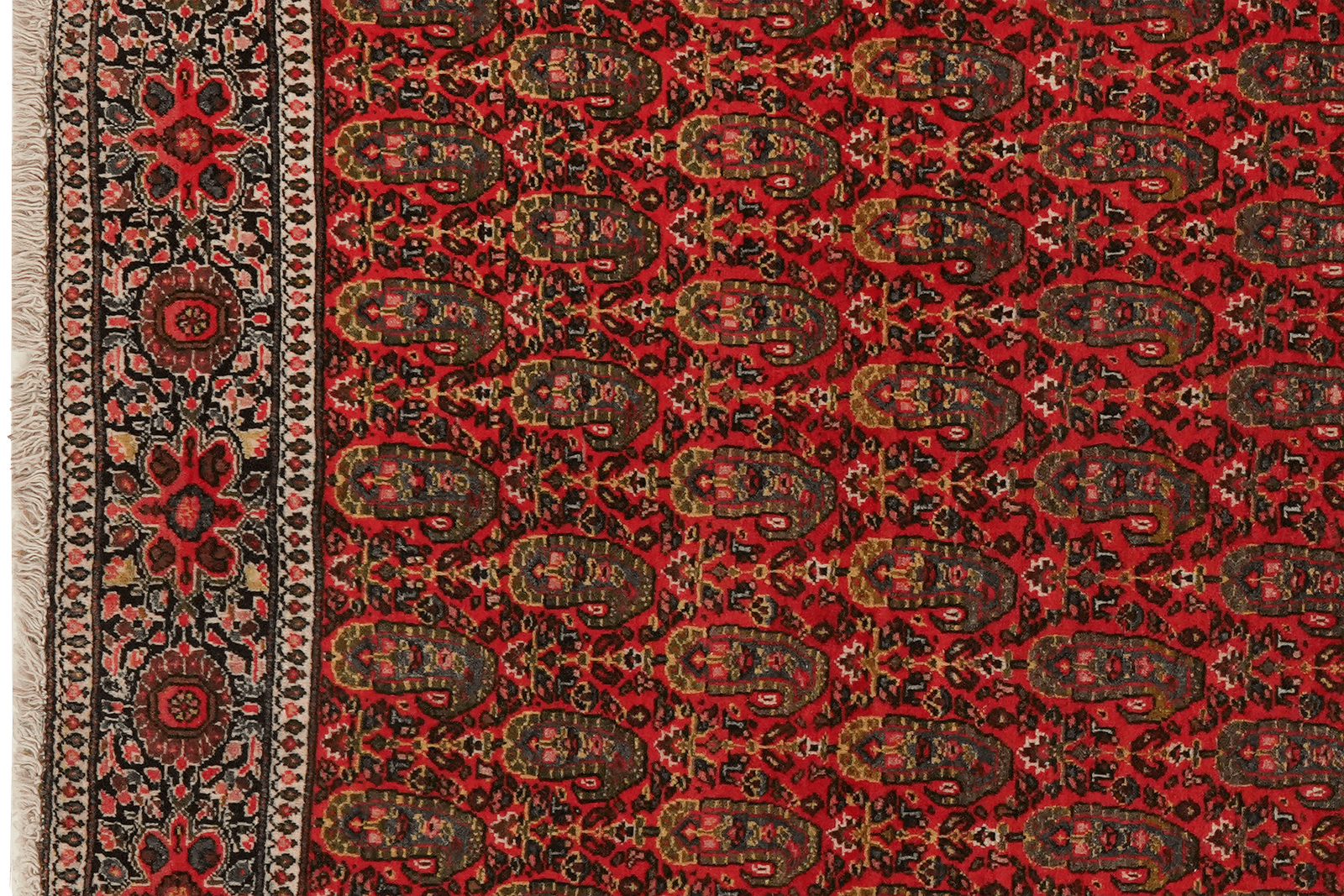 Farahan — Hand-knotted, 105x154 cm, Red, 100% Virgin Wool | View 3