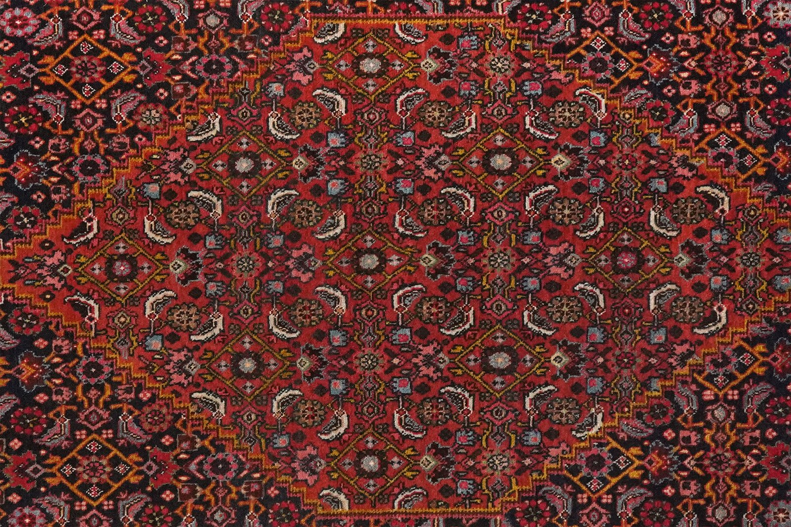 Bidjar — Hand-knotted, 117x163 cm, Blue, 100% Virgin Wool | View 4