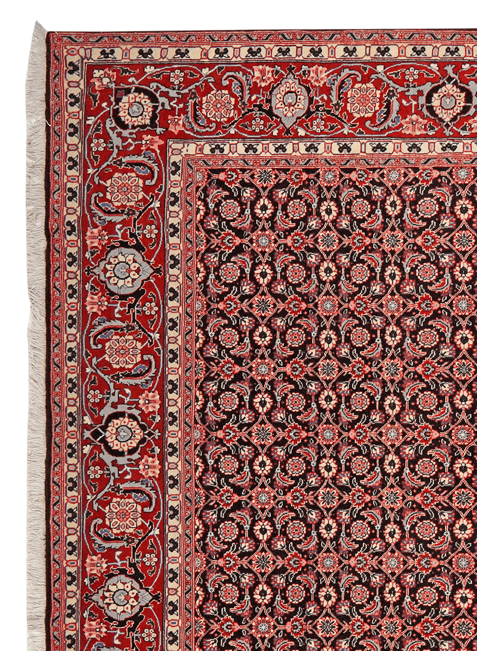 Tabriz 40 Raj — Hand-knotted, 204x299 cm, Black, 100% Virgin Wool | View 3