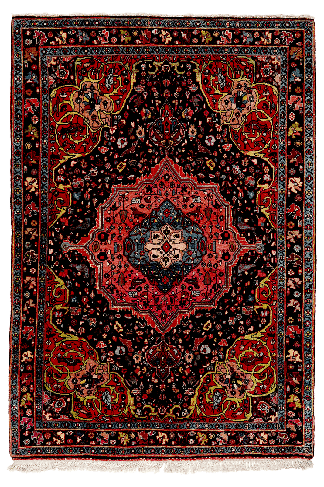 Bidjar — Hand-knotted, 113x159 cm, Blue, 100% Virgin Wool | Main view