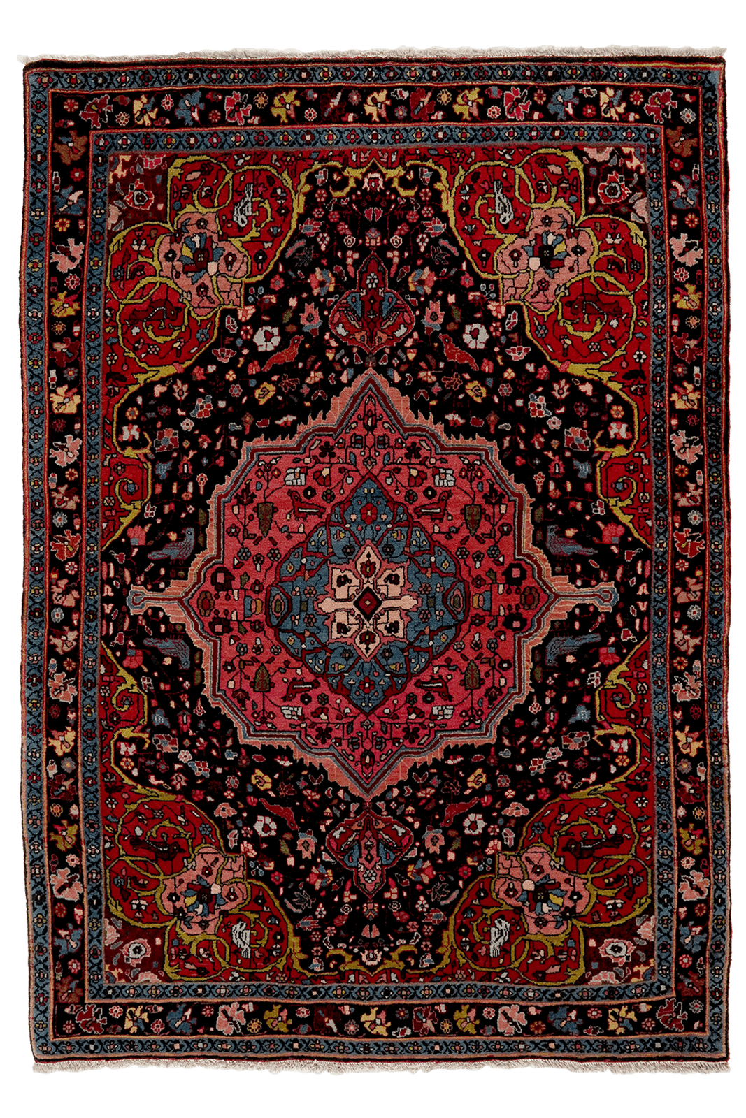 Bidjar — Hand-knotted, 112x159 cm, Blue, 100% Virgin Wool | Main view