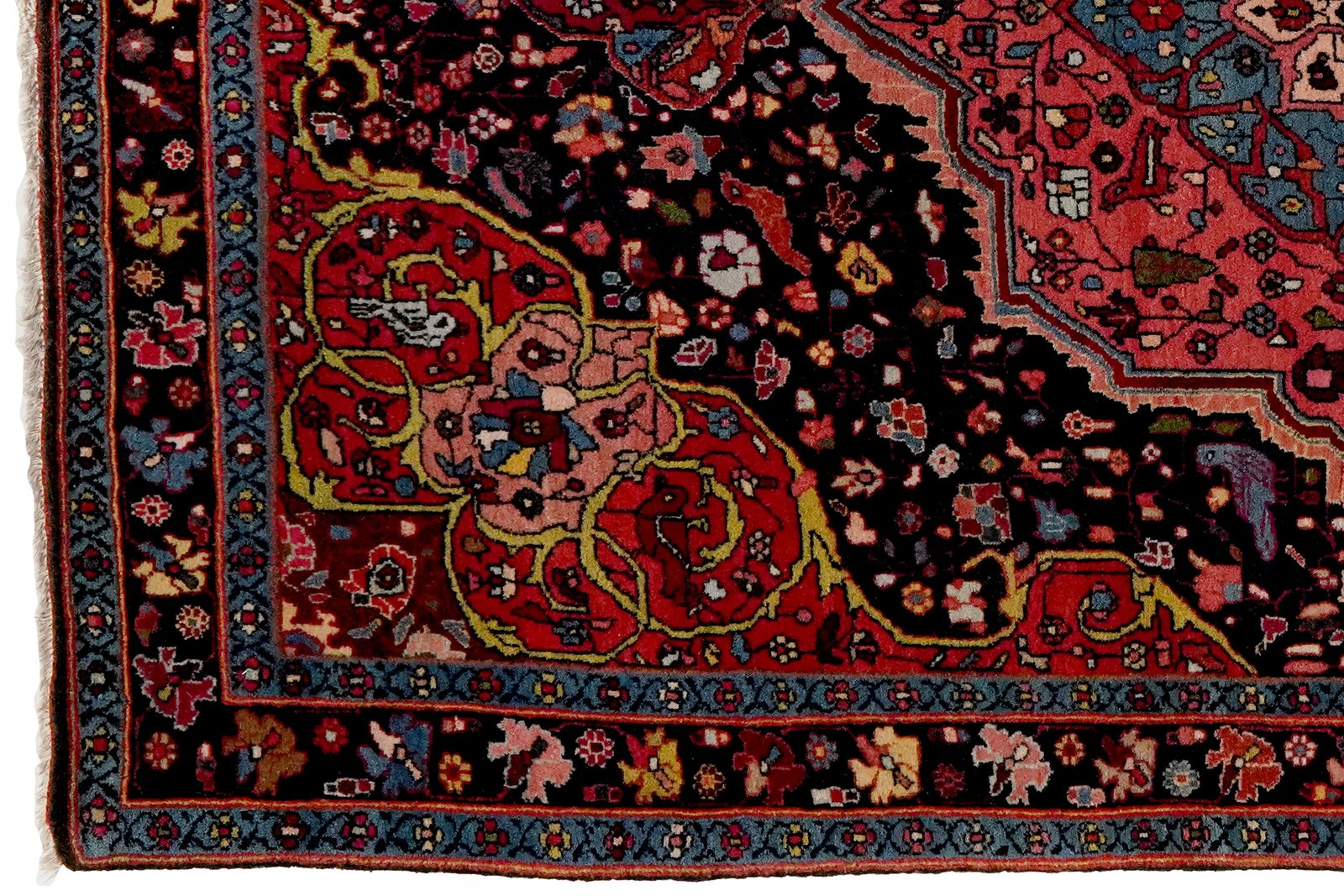 Bidjar — Hand-knotted, 112x159 cm, Blue, 100% Virgin Wool | View 3