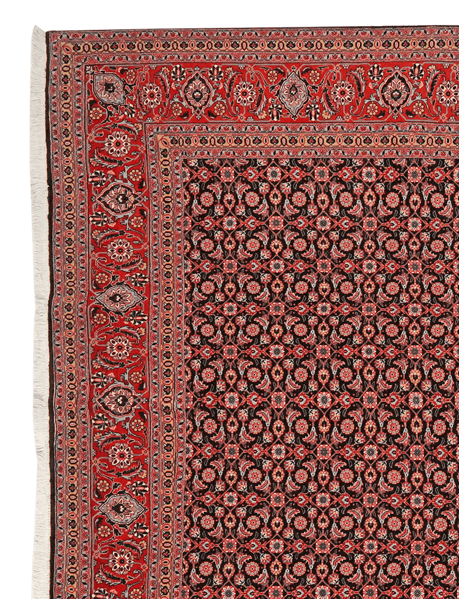Tabriz 50 Raj — Hand-knotted, 199x294 cm, Orange, 100% Virgin Wool | View 3