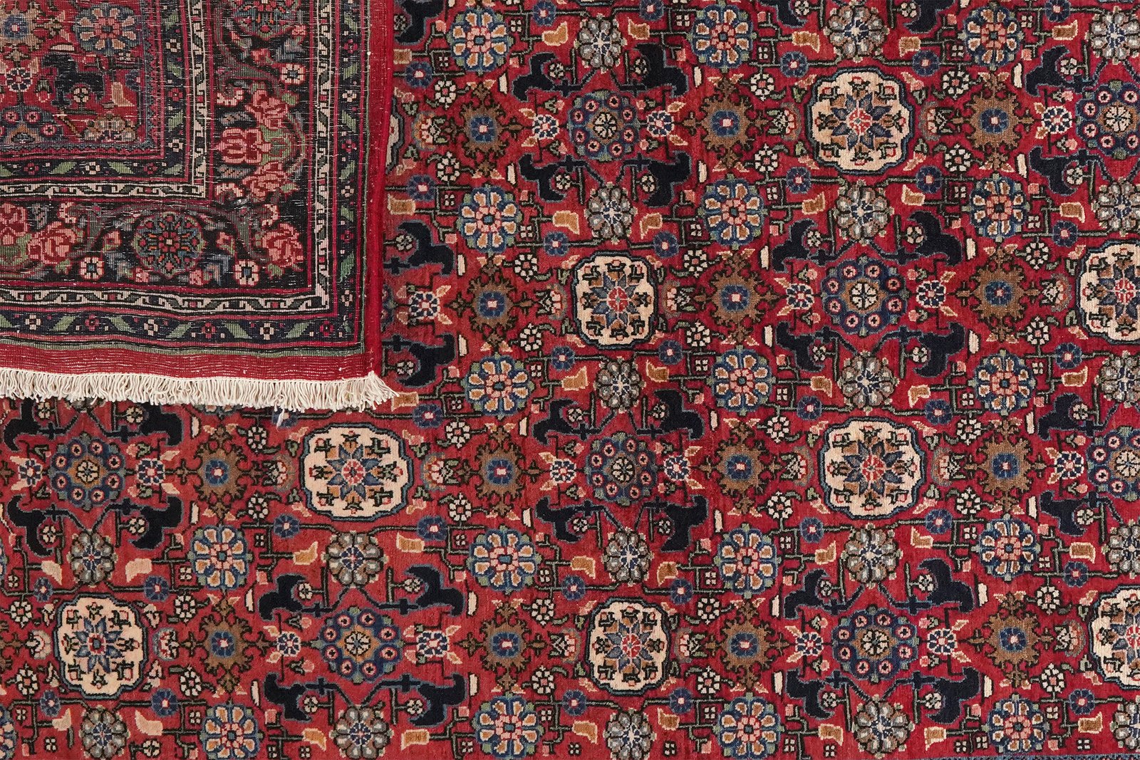 Bidjar — Hand-knotted, 138x217 cm, Red, 100% Virgin Wool | View 5