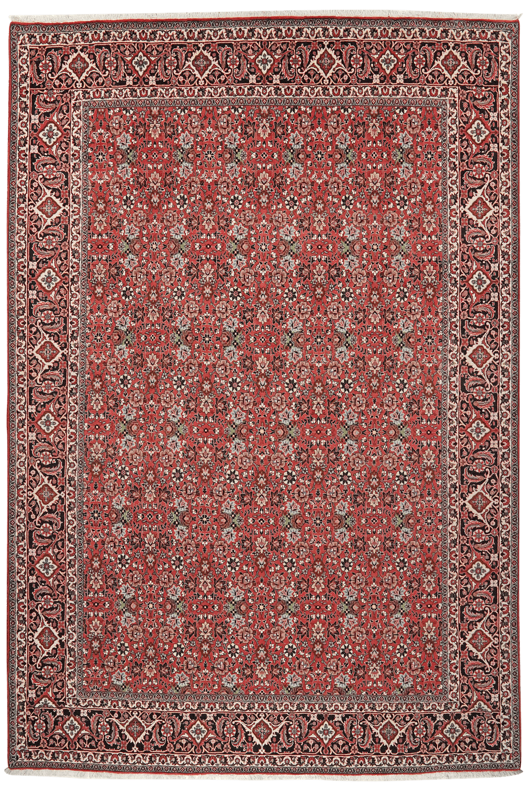 Bidjar — Hand-knotted, 197x293 cm, Red, 100% Virgin Wool | Main view