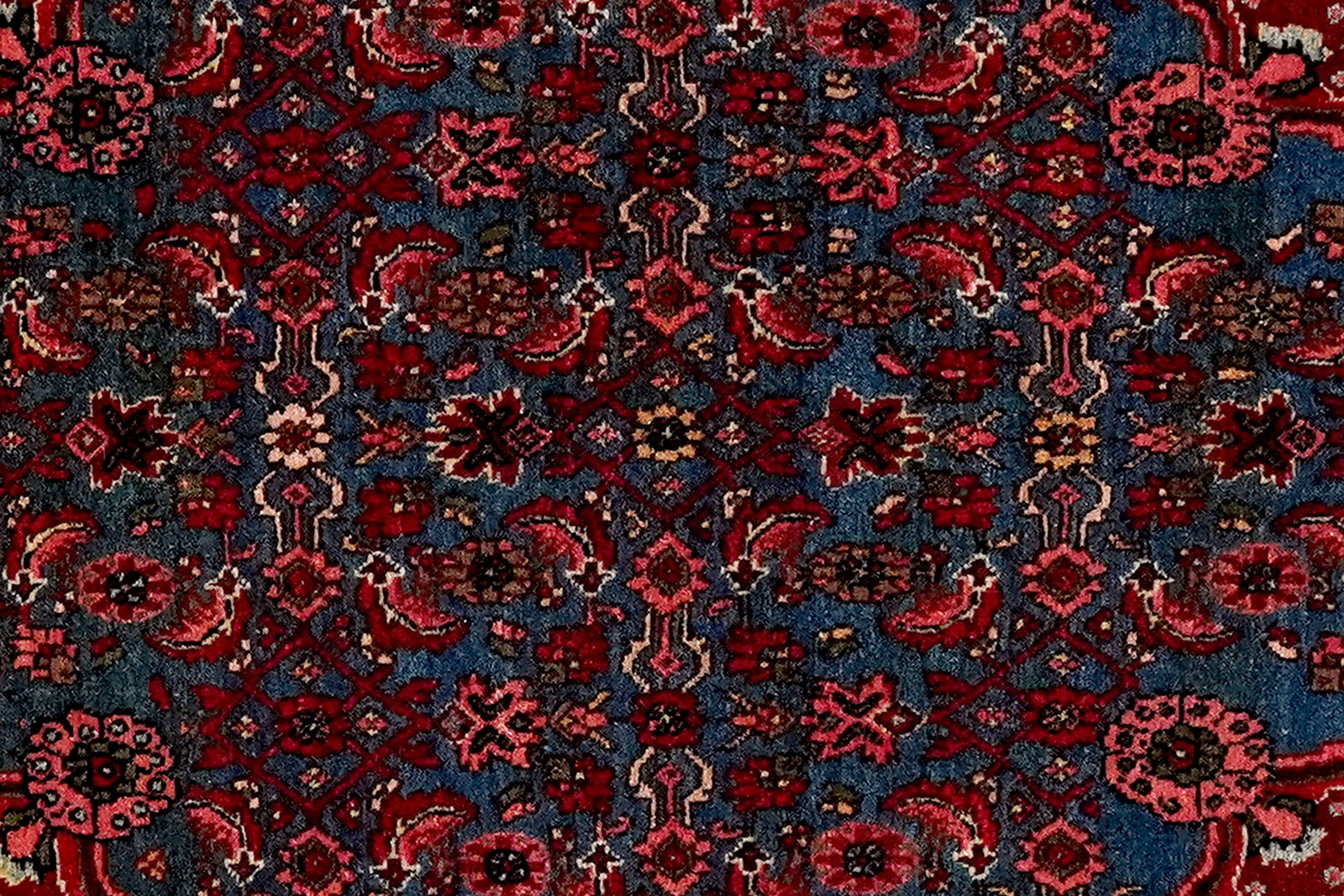 Bidjar — Handgefertigt, 168x110 cm, Rot, 100% Virgin Wool | View 5