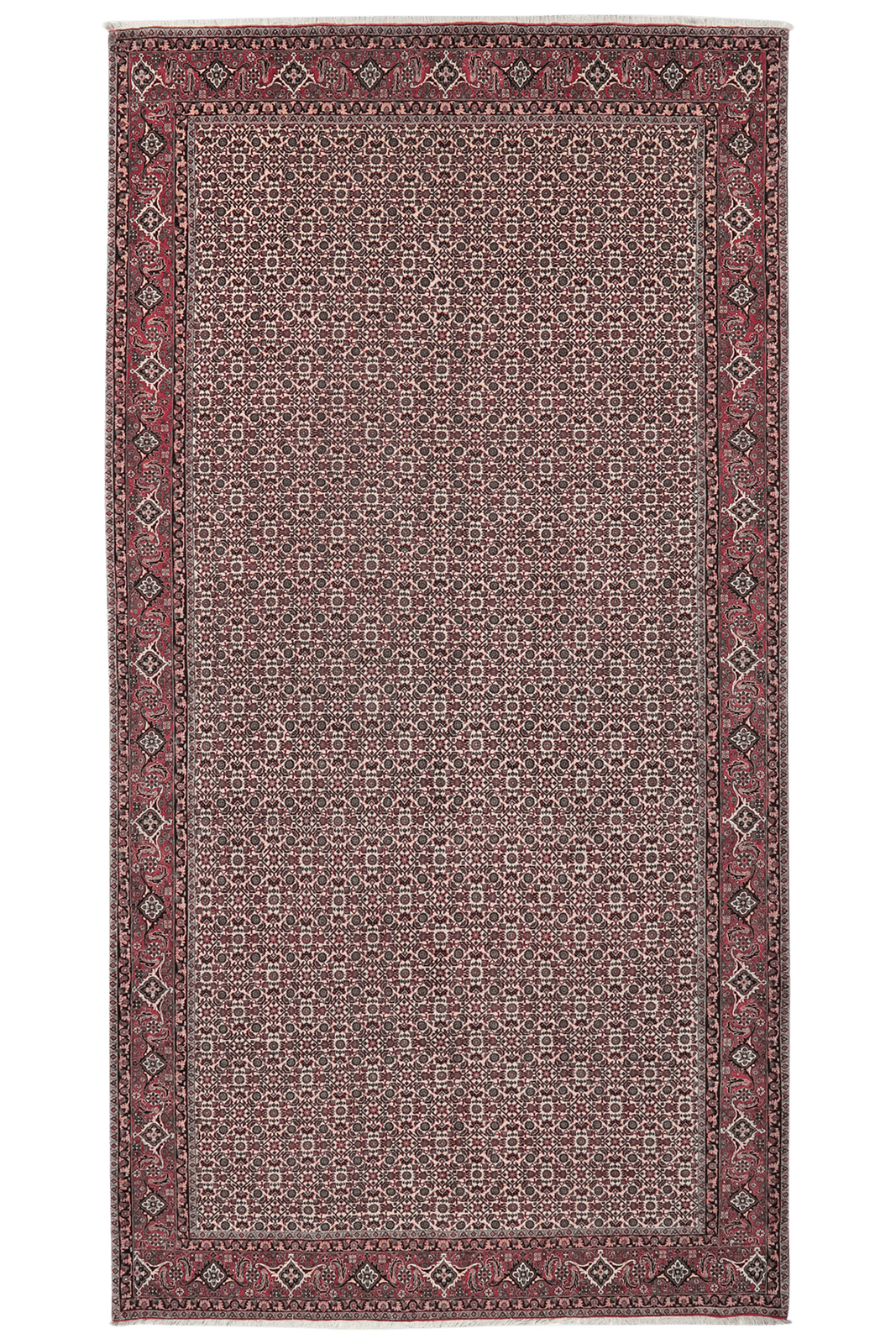 Bidjar — Hand-knotted, 199x389 cm, Beige, 100% Virgin Wool | Main view