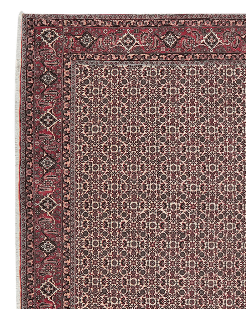 Bidjar — Hand-knotted, 199x389 cm, Beige, 100% Virgin Wool | View 3