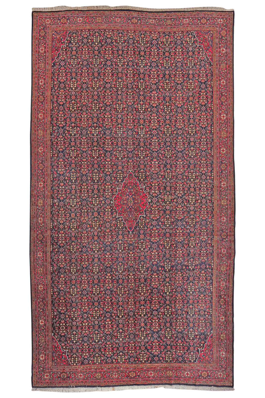 Meyghan — Hand-knotted, 238x426 cm, Blue, 100% Virgin Wool | Main view