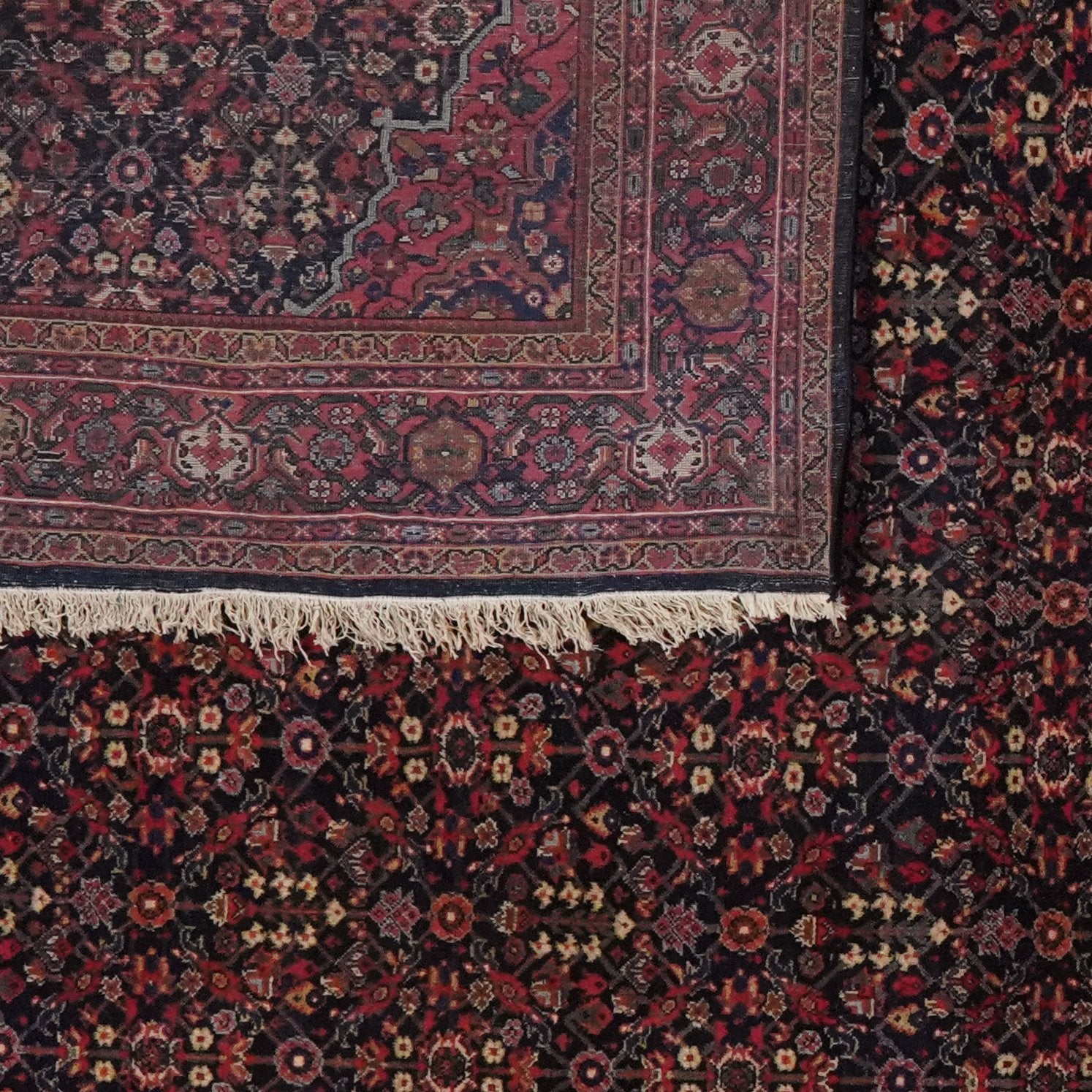 Meyghan — Hand-knotted, 238x426 cm, Blue, 100% Virgin Wool | View 6