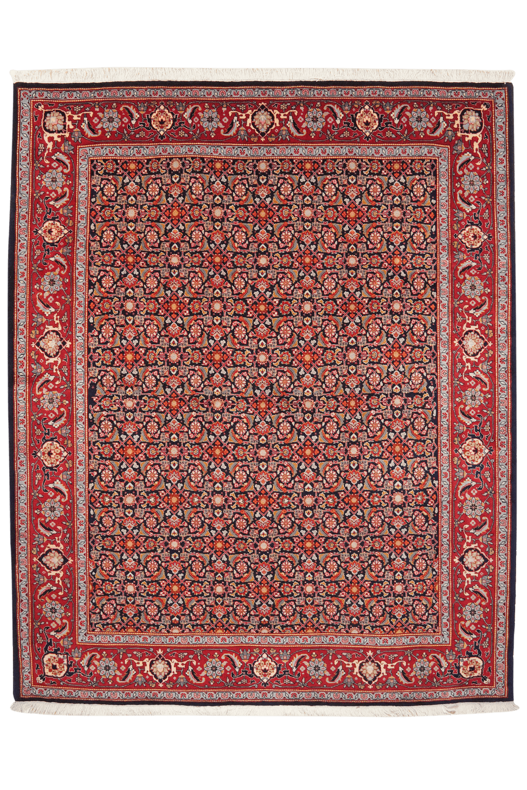 Tabriz 40 Raj — Hand-knotted, 206x250 cm, Blue, 100% Virgin Wool | Main view