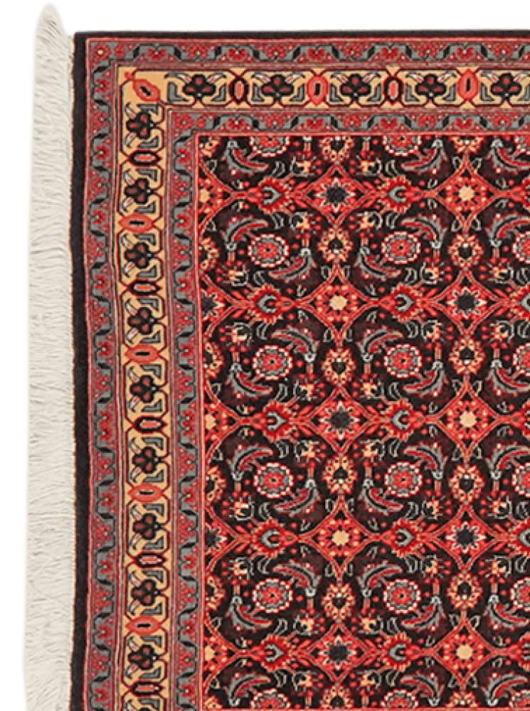 Tabriz 50 Raj — Hand-knotted, 79x293 cm, Orange, 100% Virgin Wool | View 3