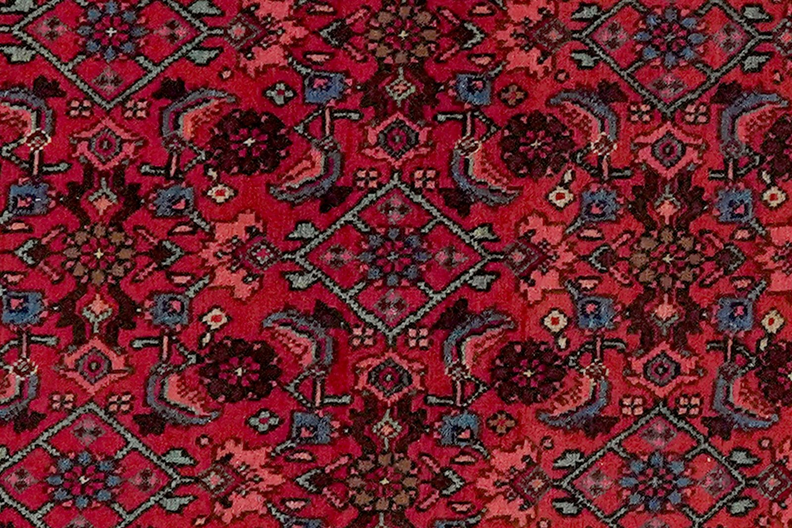 Bidjar — Hand-knotted, 121x158 cm, Blue, 100% Virgin Wool | View 4