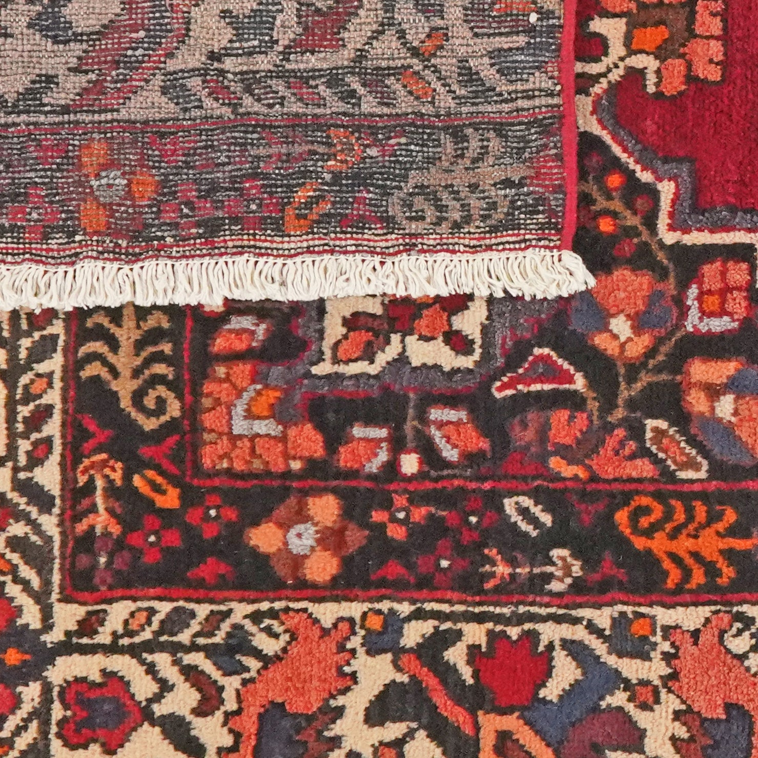 Ferdos — Hand-knotted, 113x162 cm, Red, 100% Virgin Wool | View 6