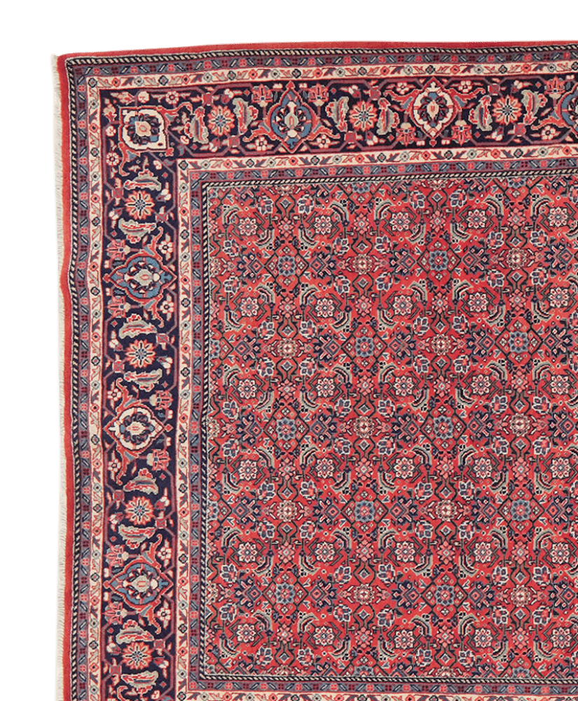 Sarough — Hand-knotted, 157x320 cm, Red, 100% Virgin Wool | View 3